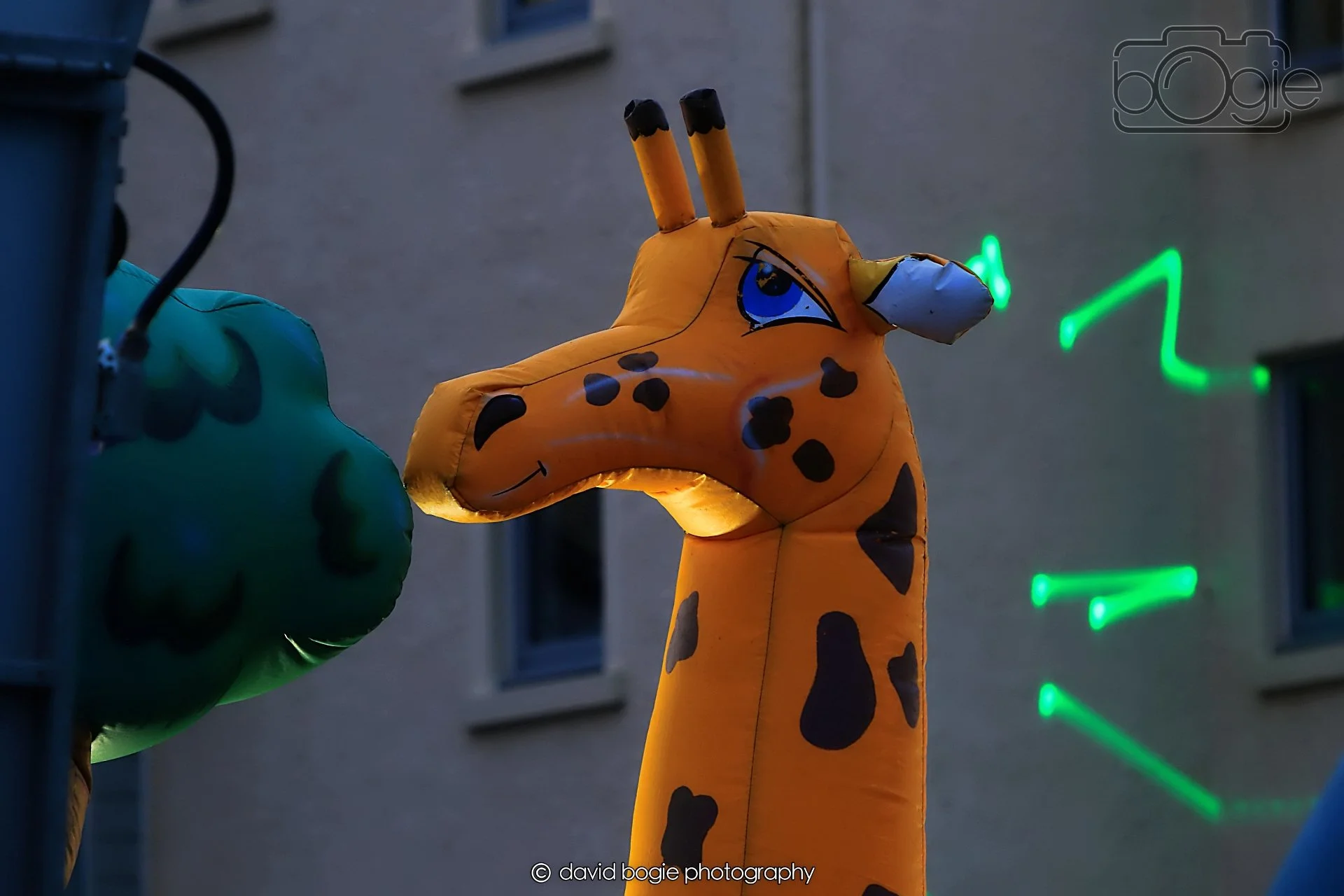 20260416 191320 Links Market0380.jpg