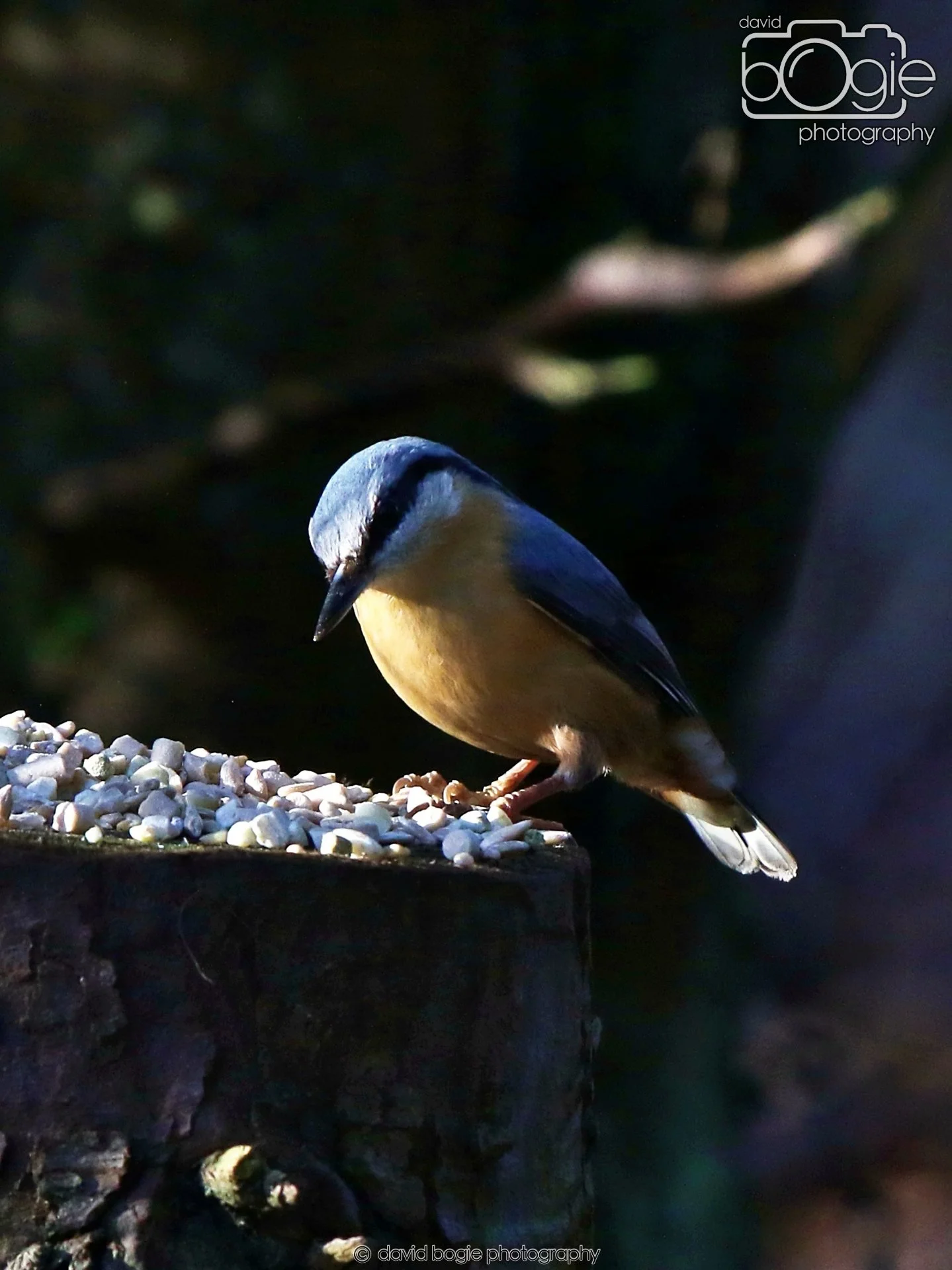 20260128 130026 Dunnikier 0118.JPG