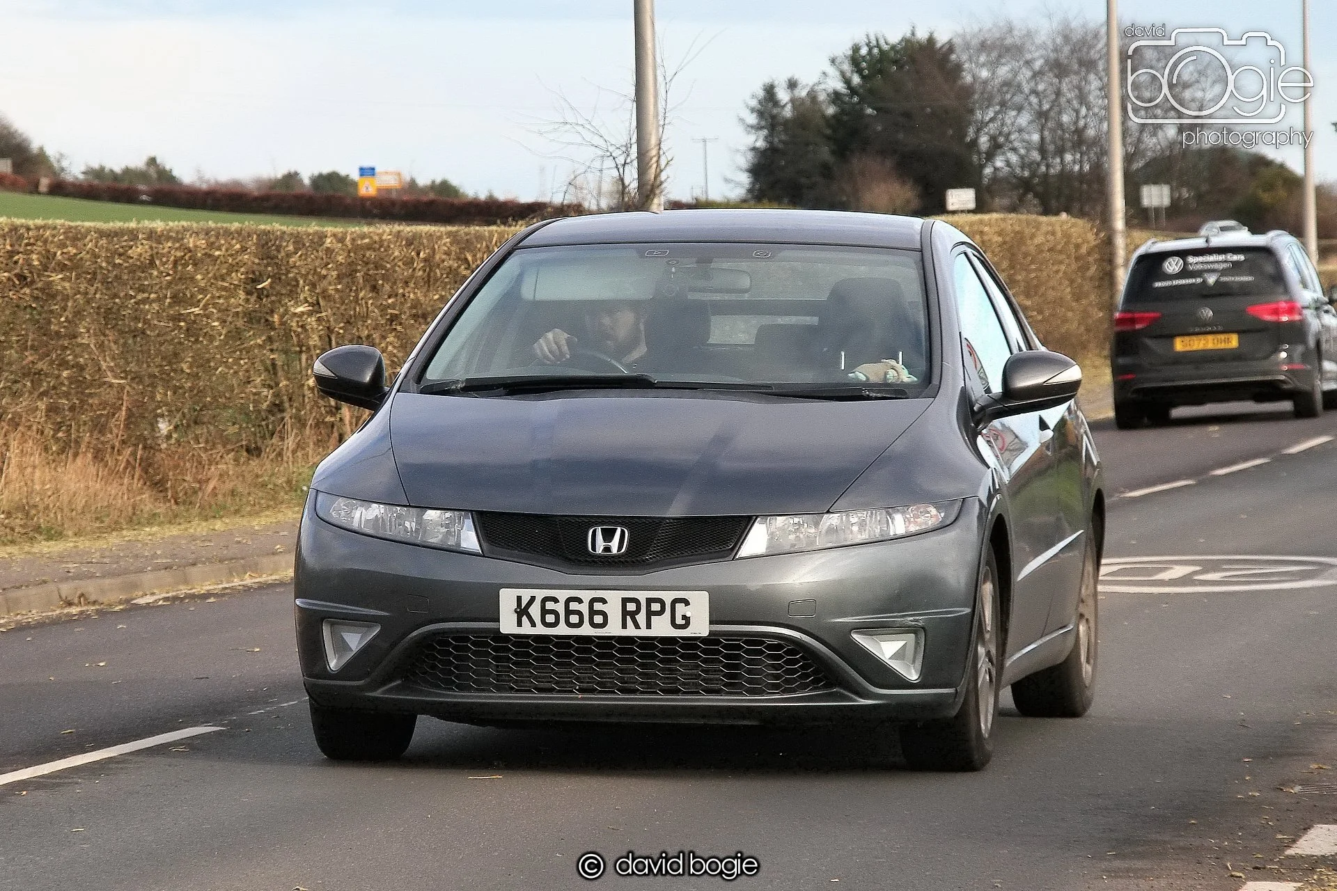 20250129 140205 Reekies 0243 1.JPG