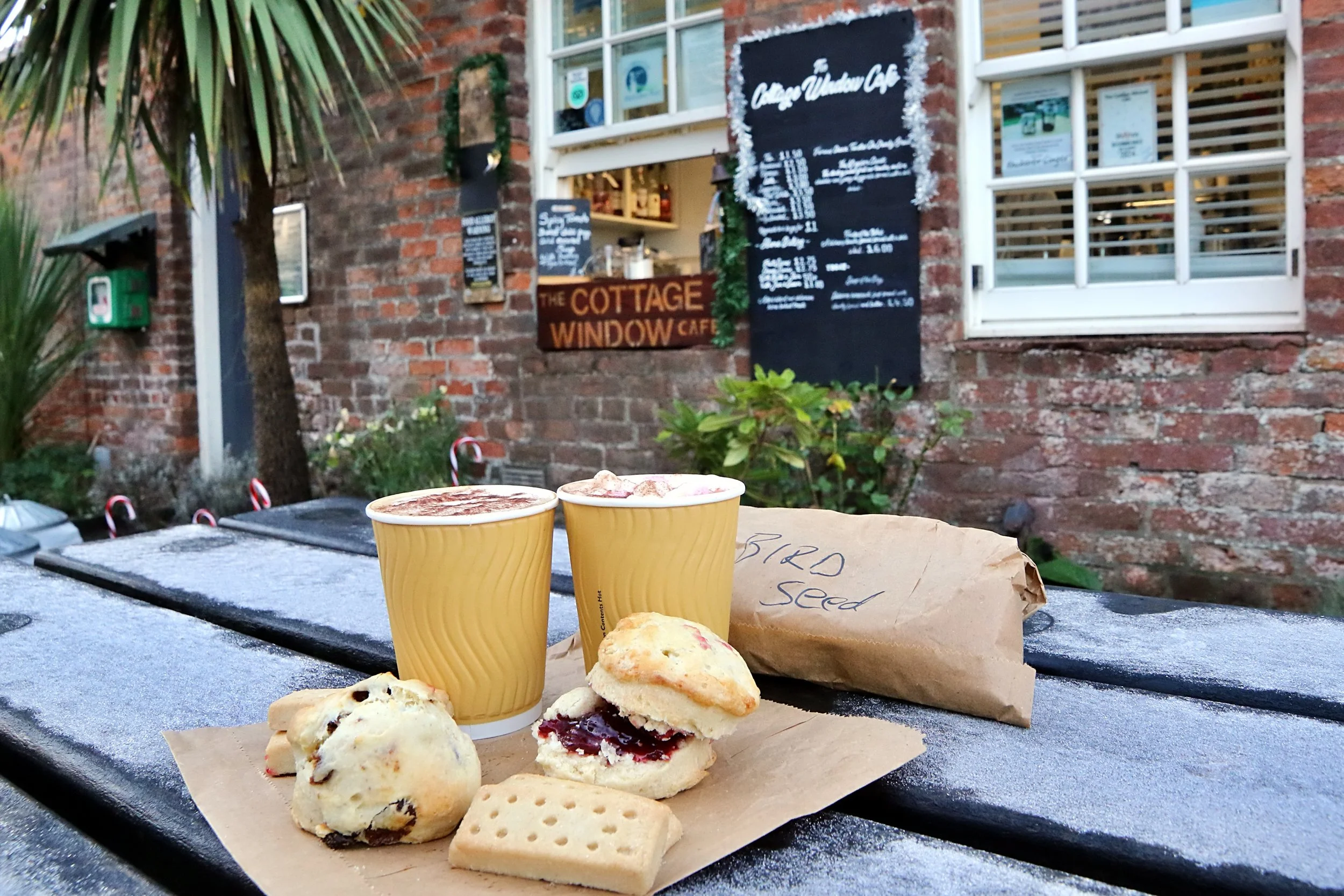 20251125 130544 IMG_0540.JPG