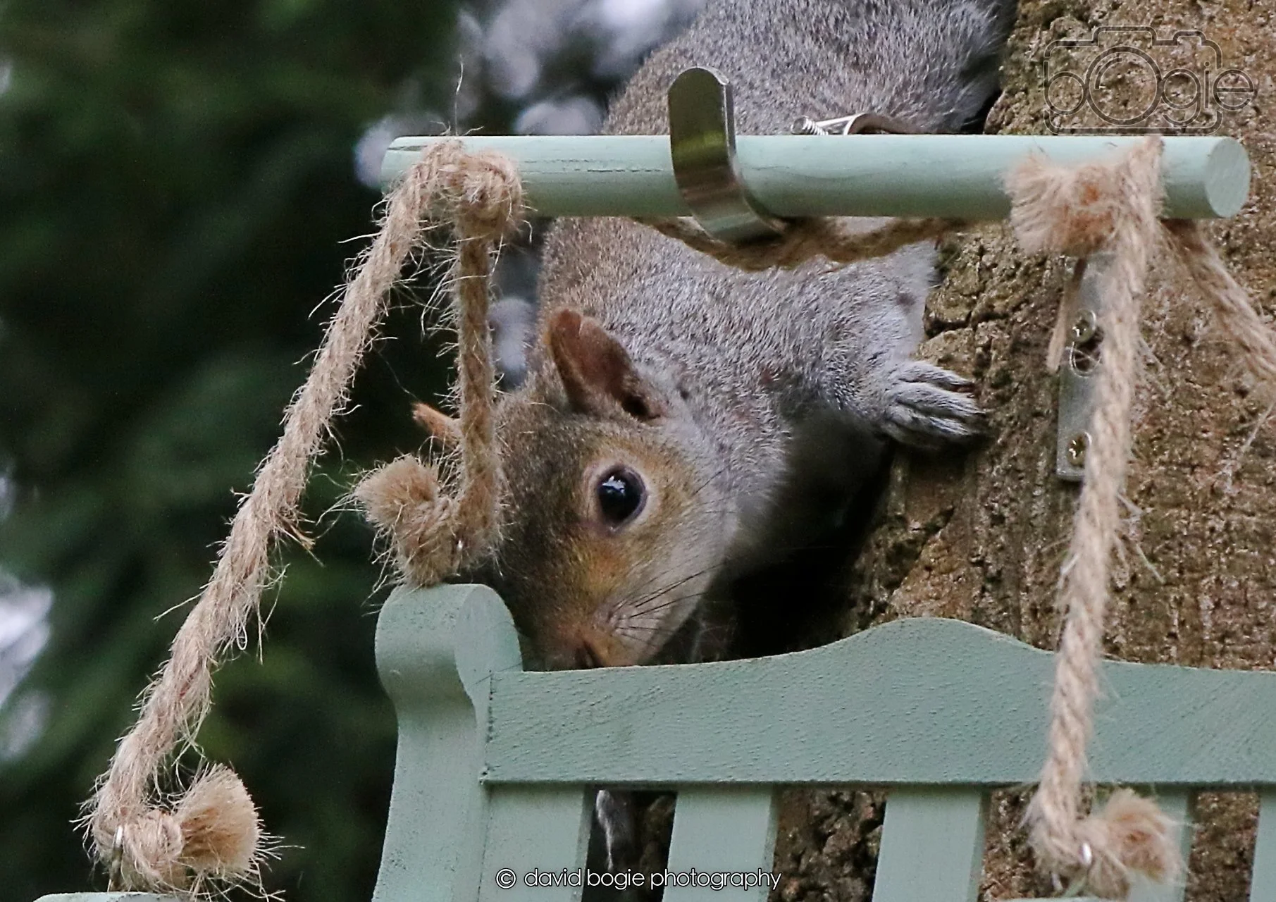 20260403 130559 Dunnikier 0374.jpg