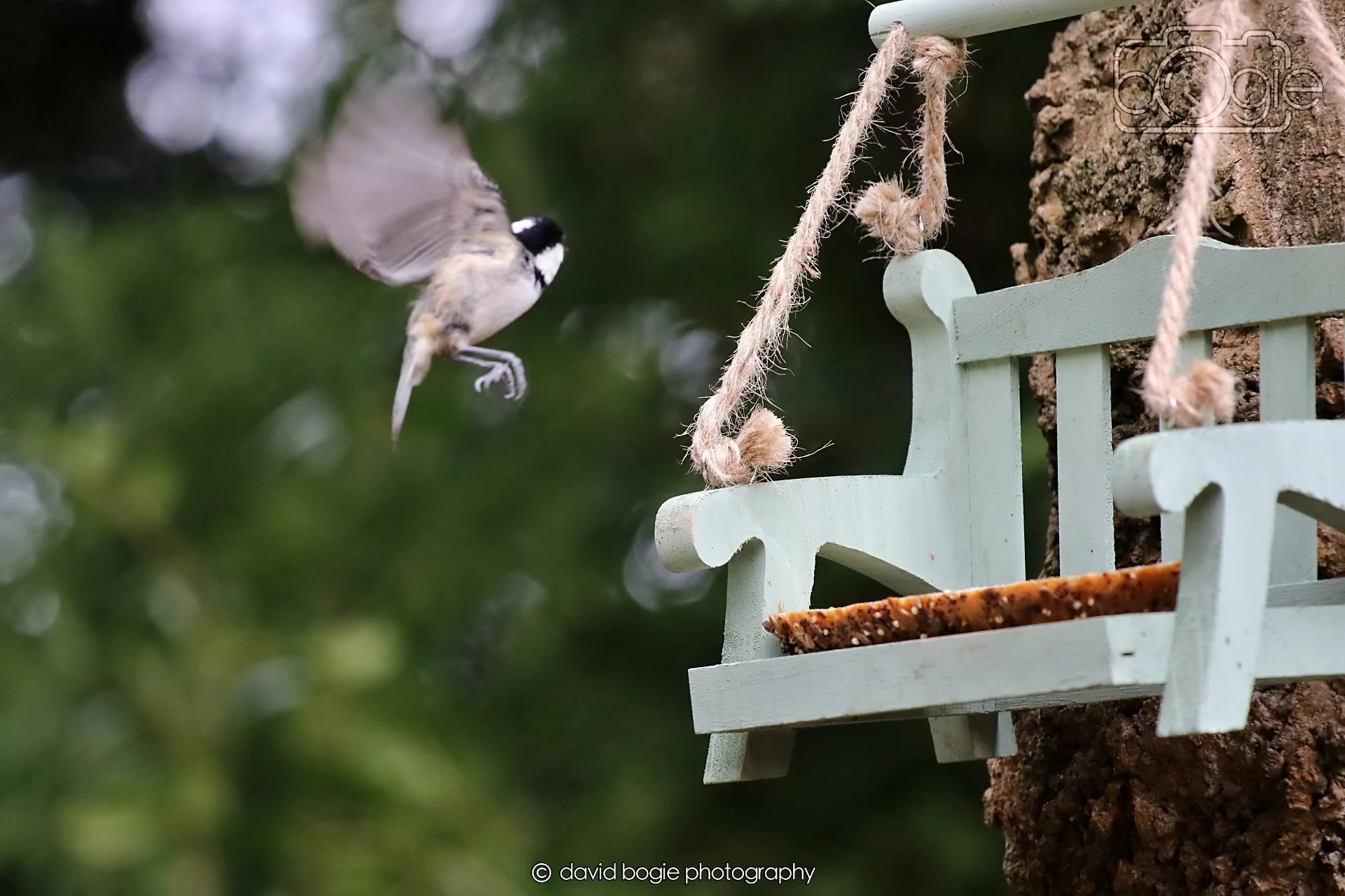 20260330 113517 Dunnikier 0227.jpg