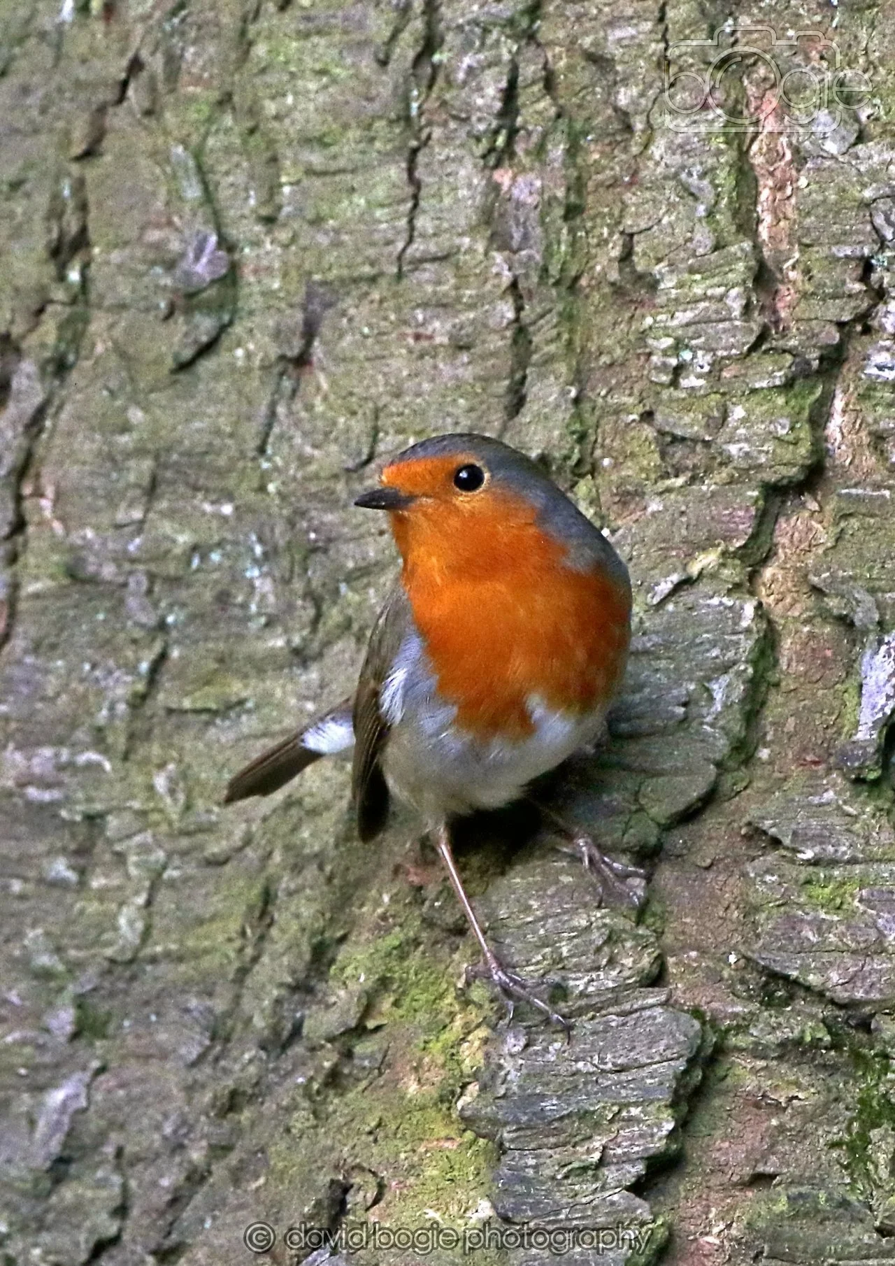 20260322 144910 Dunnikier 0184.jpg