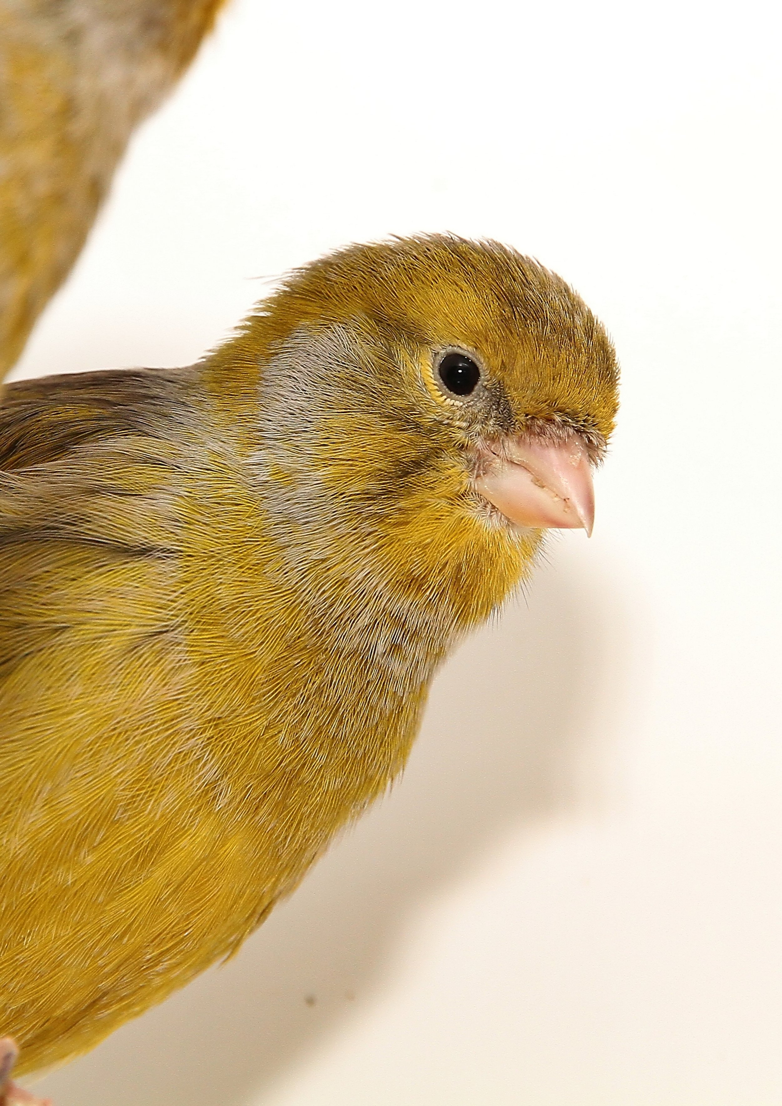 20260331 111621 K&S 0400.jpg