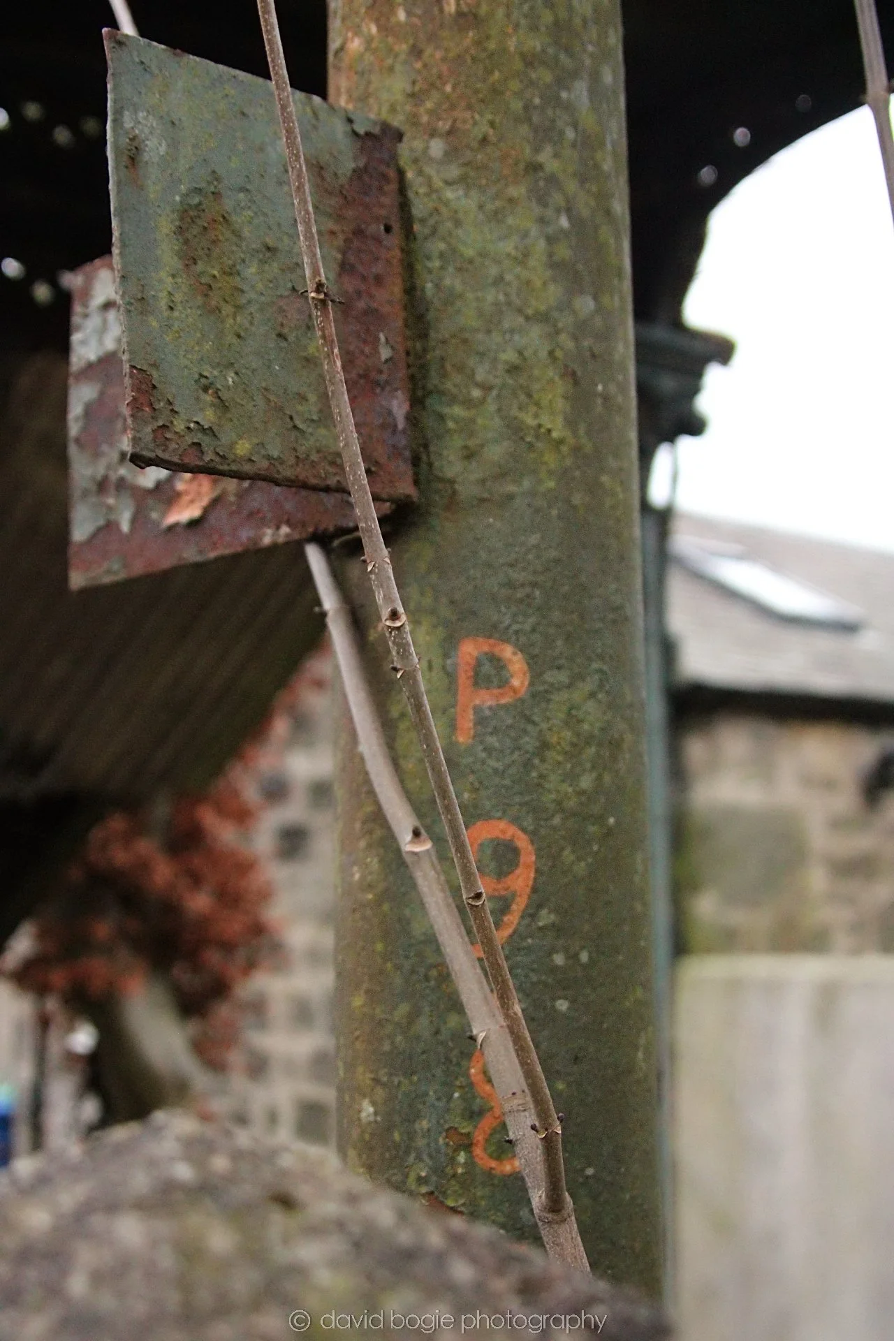 YEAR20220108 Dunfermline 00014.jpg