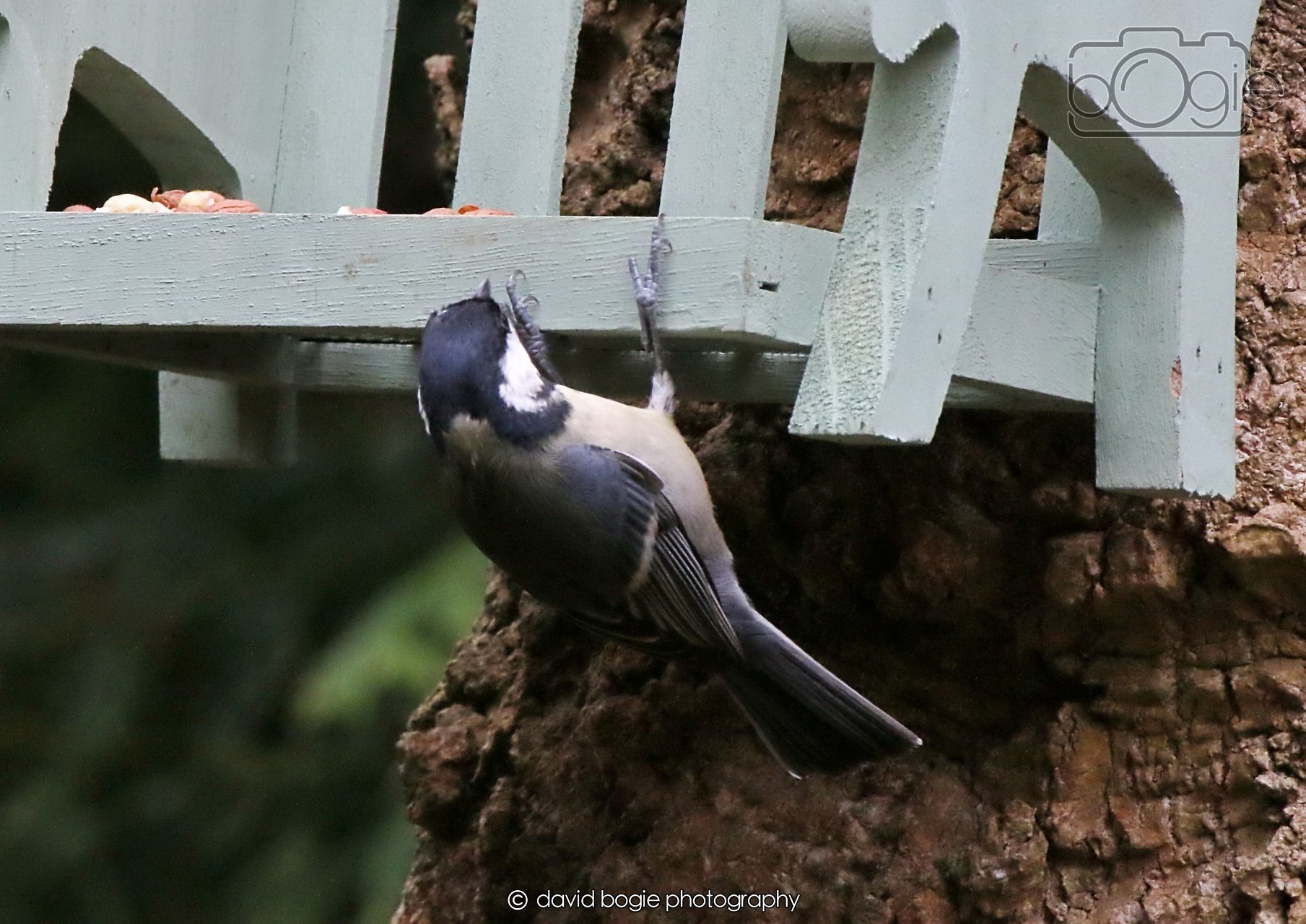 20260403 130202 Dunnikier 0308.jpg