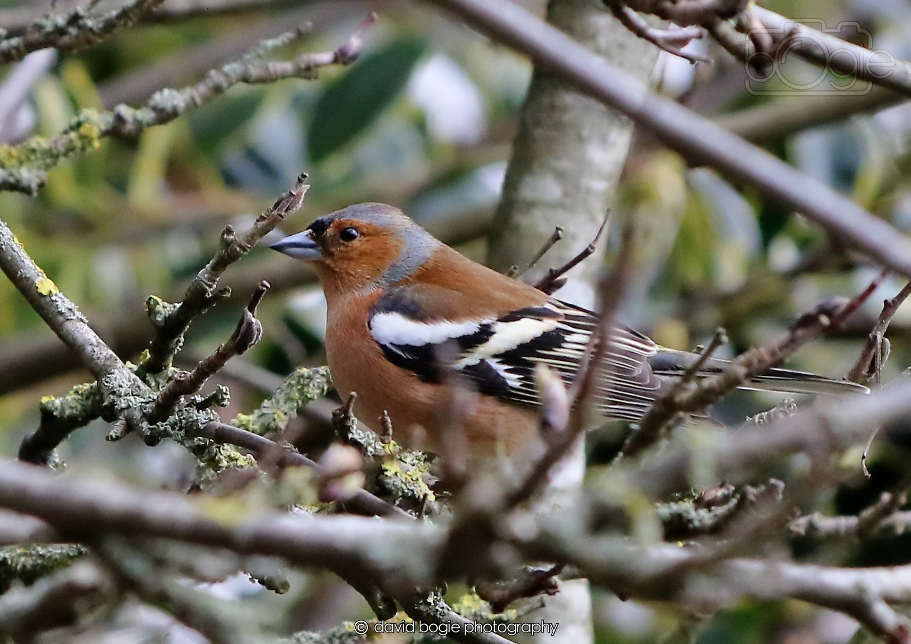 20260326 123404 Silverburn 0488.jpg