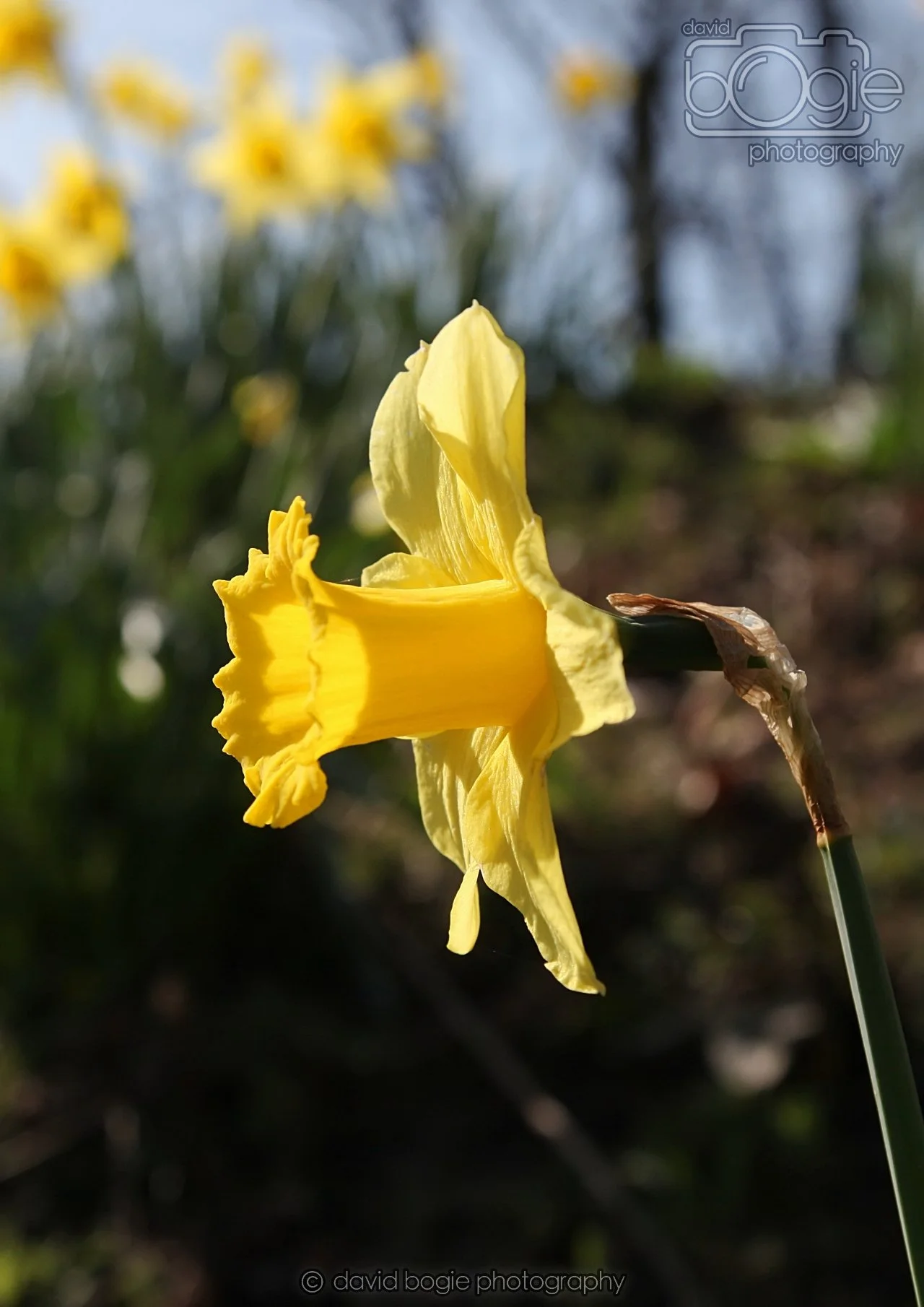 20260319 115404 Beveridge Park 0131.jpg