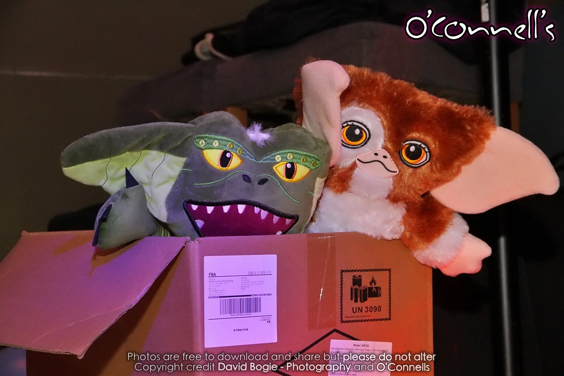 20251101 195415 Decadance 1515.JPG