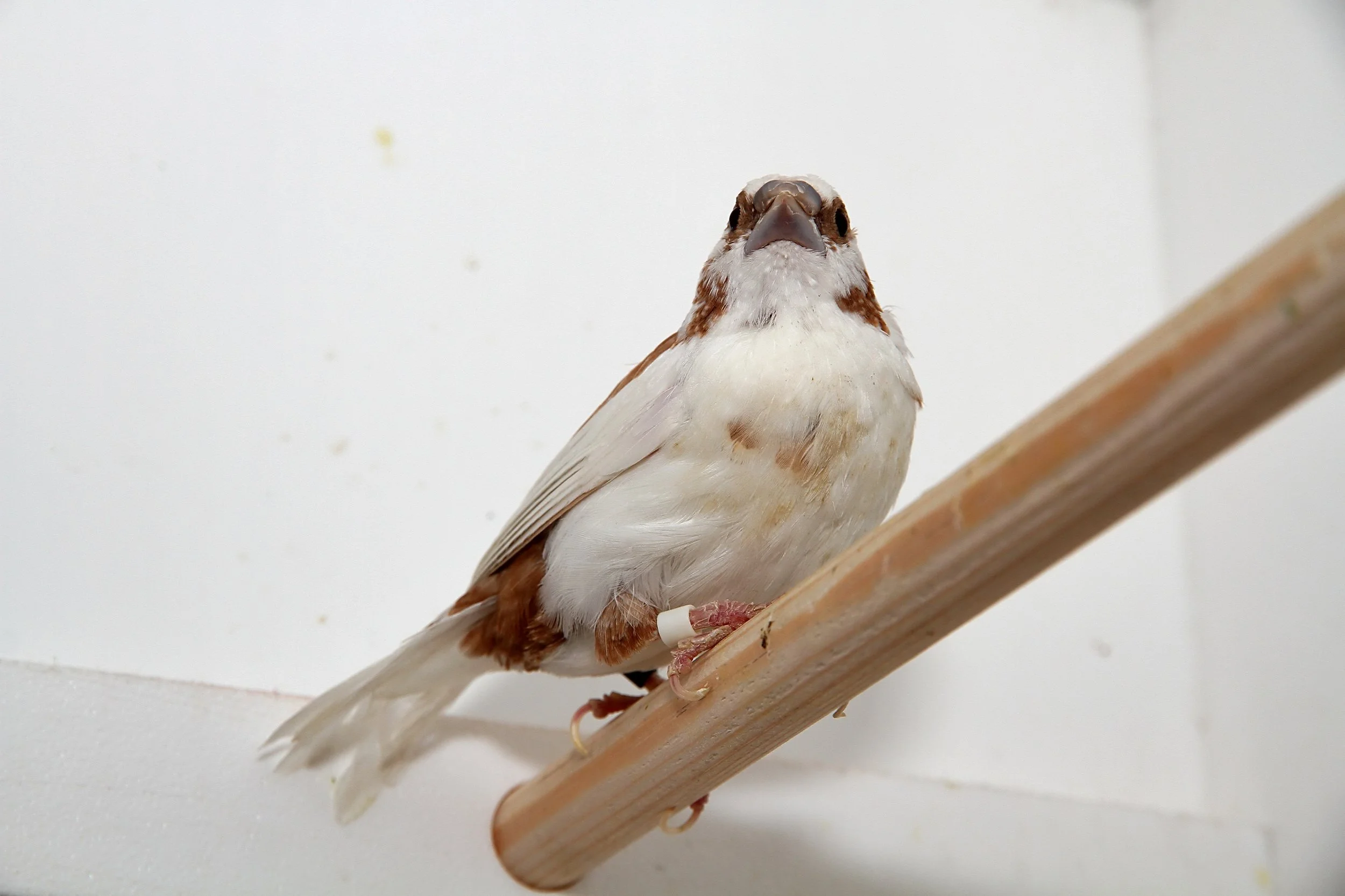 20260331 104335 K&S 0313.jpg