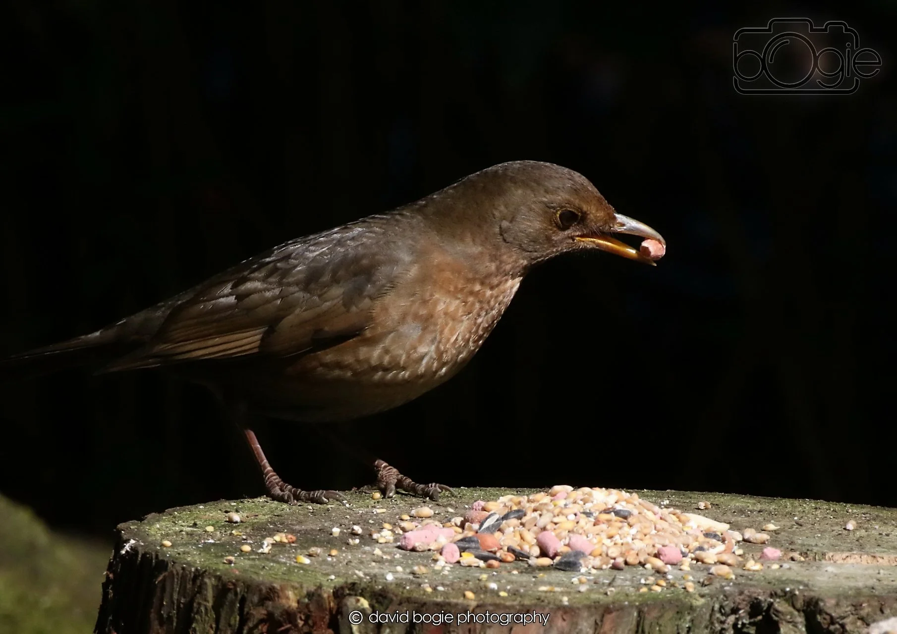 20260403 121347 Dunnikier 0045.jpg