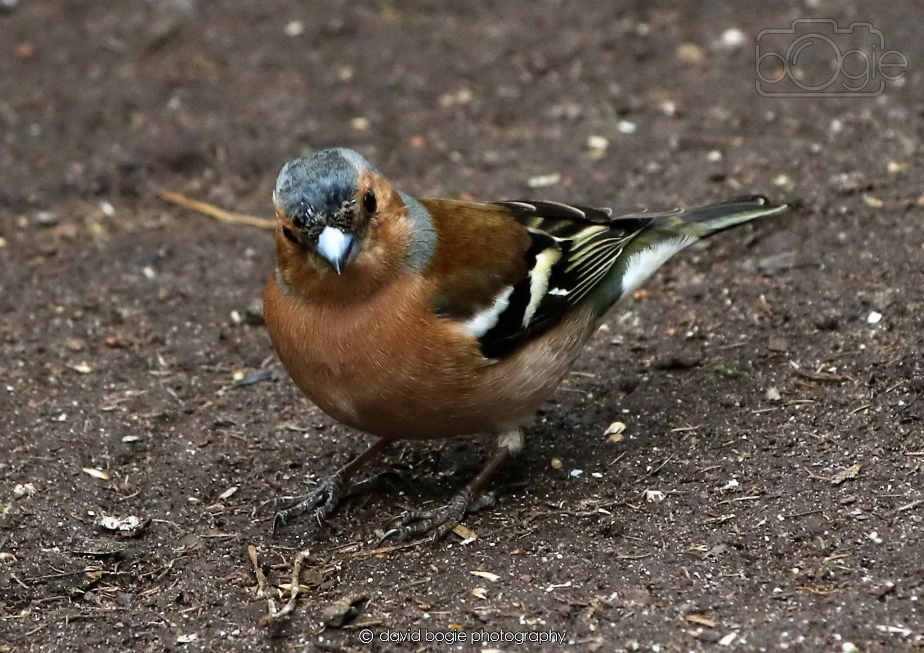 20260326 113607 Silverburn 0220.jpg