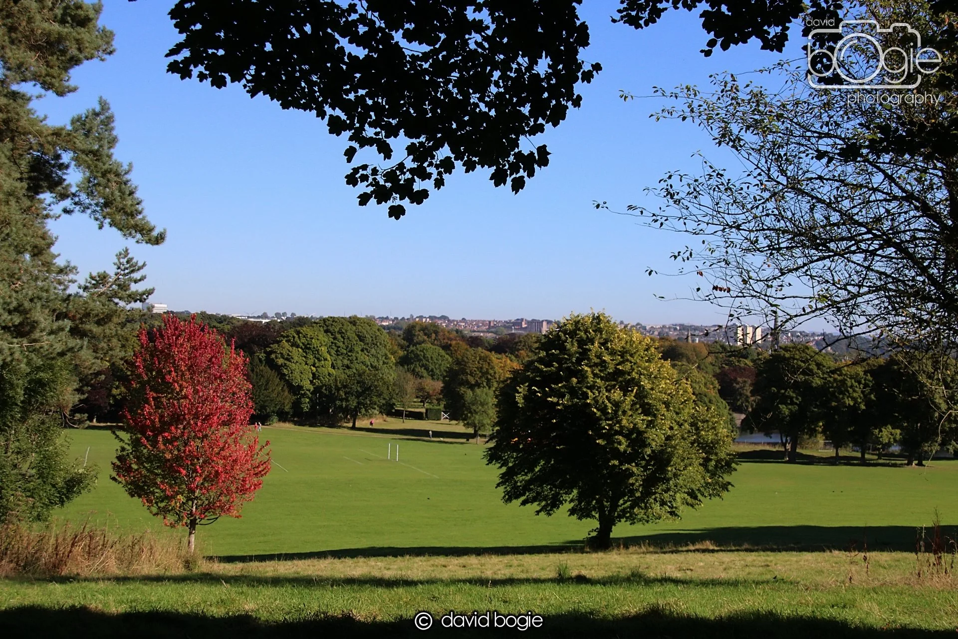 20240918 111837 Beveridge 0087.JPG