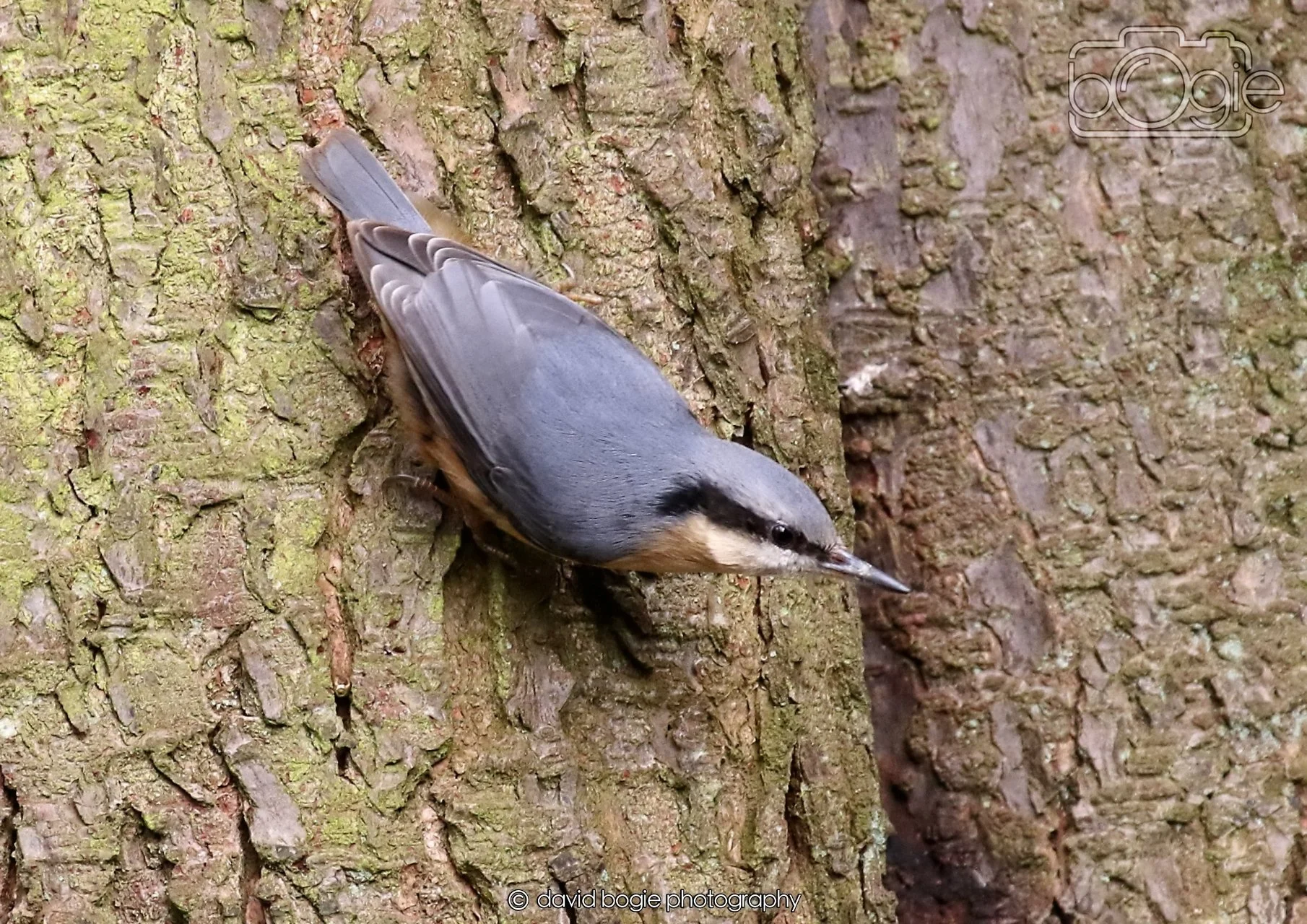 20260330 111406 Dunnikier 0065.jpg