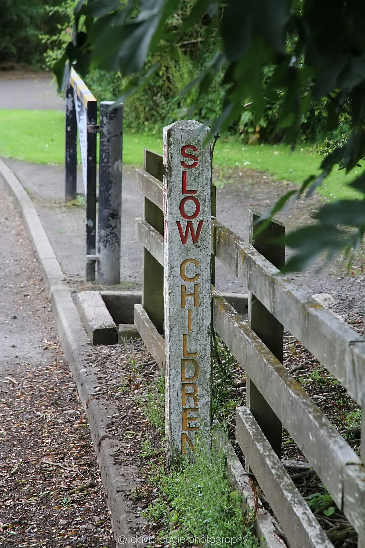 YEAR20230710 Lochore Meadows 122431 0052.jpg