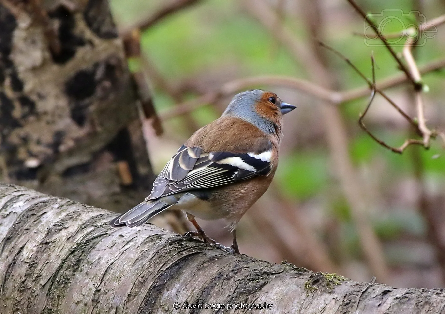 20260326 113057 Silverburn 0162.jpg