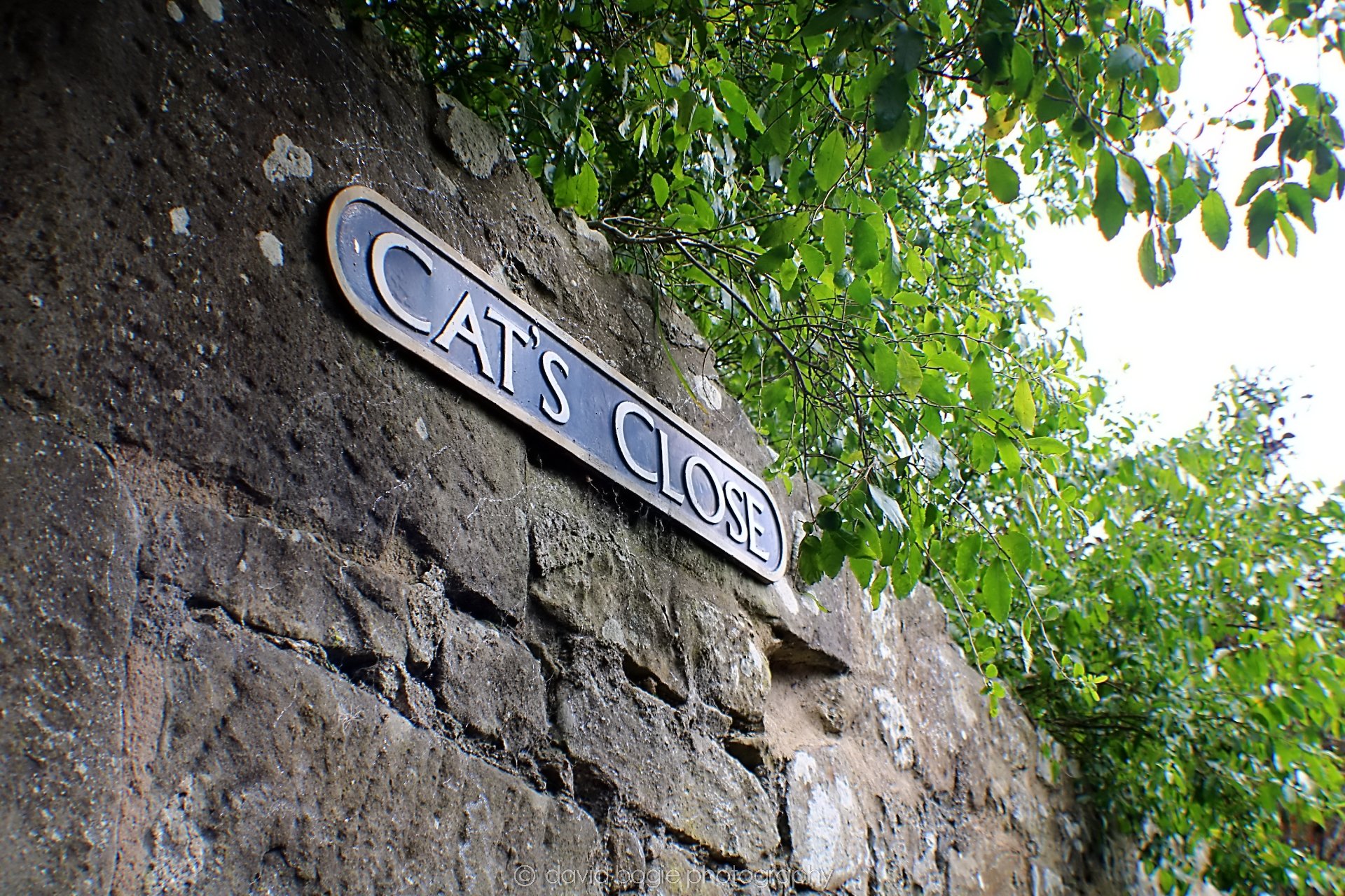 20190918 115713 Culross 0013.jpg