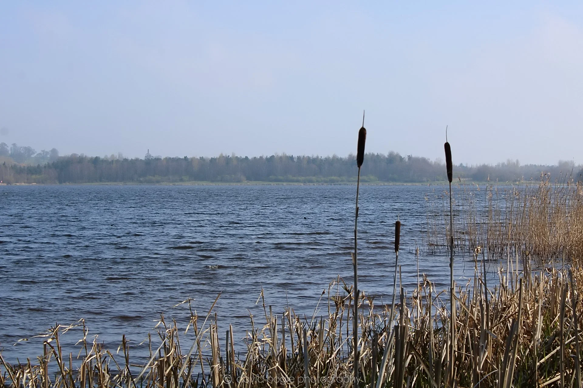20190405 095313 Lochore 0009.jpg