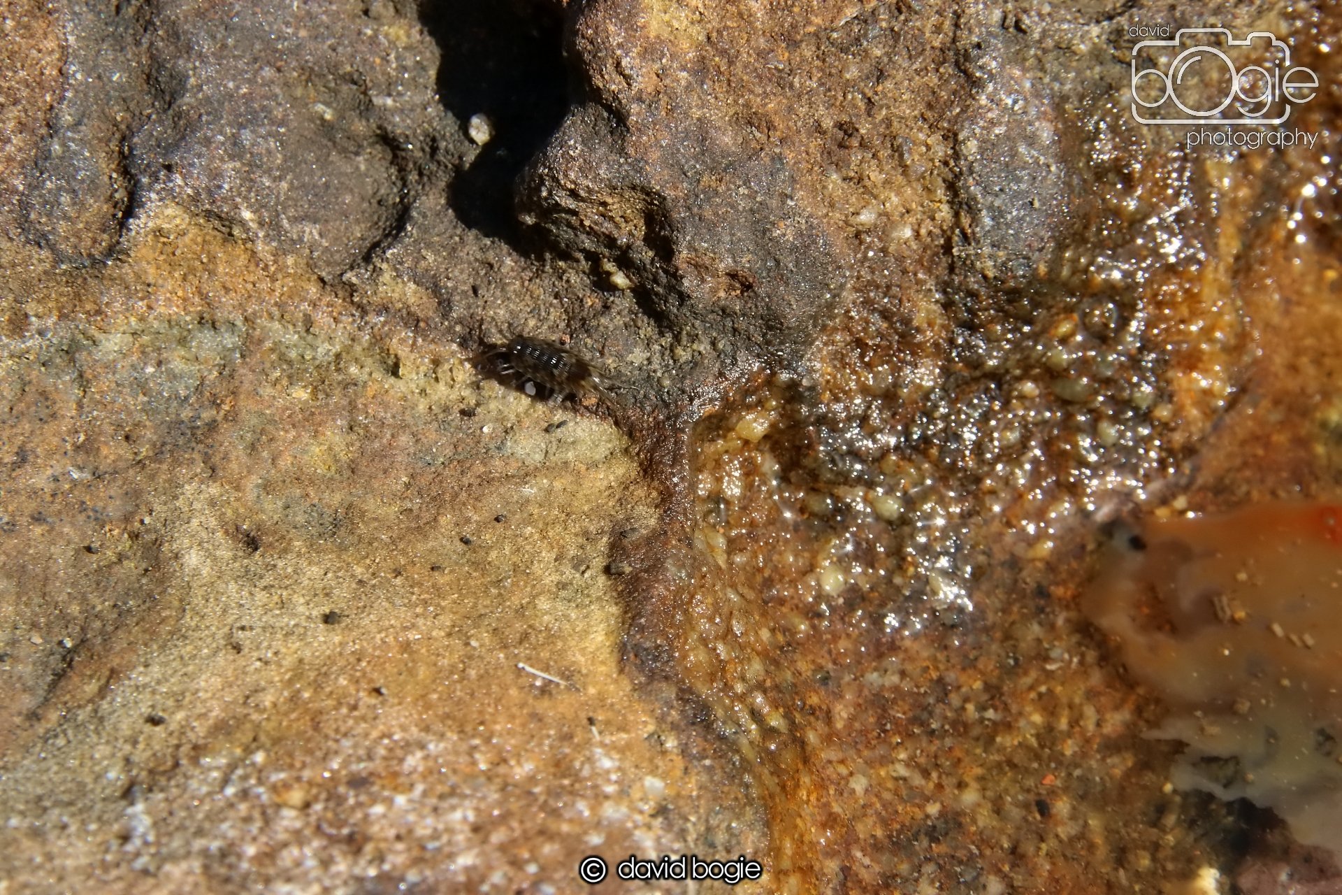 20250812 142119 Dysart 0052.JPG