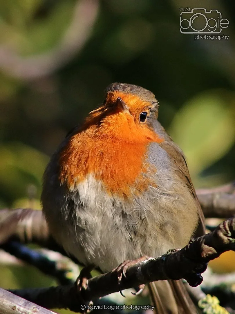 20251231 135606 Silverburn 0363.JPG