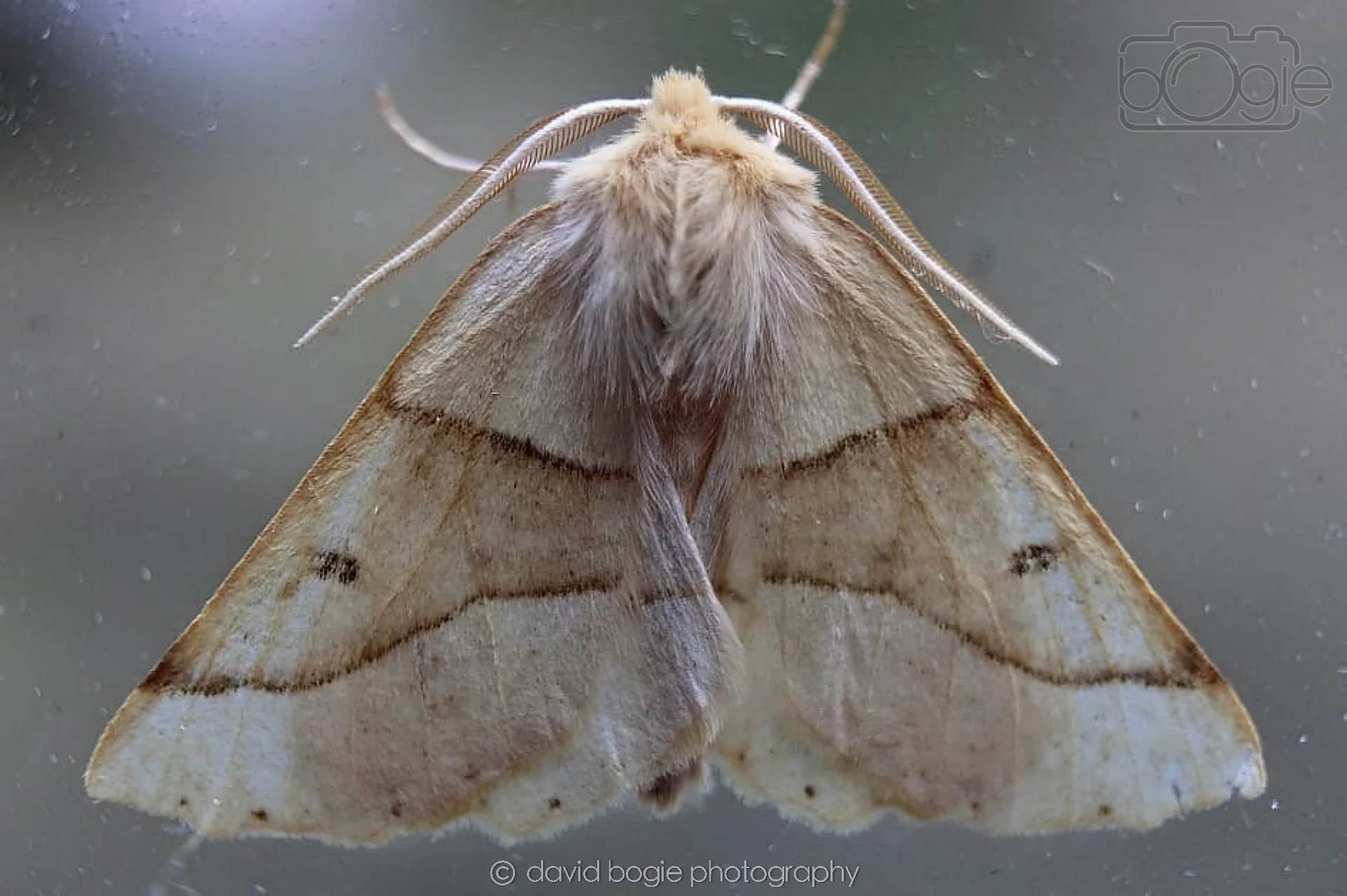 20190813 114243 Cardenden 0044.jpg