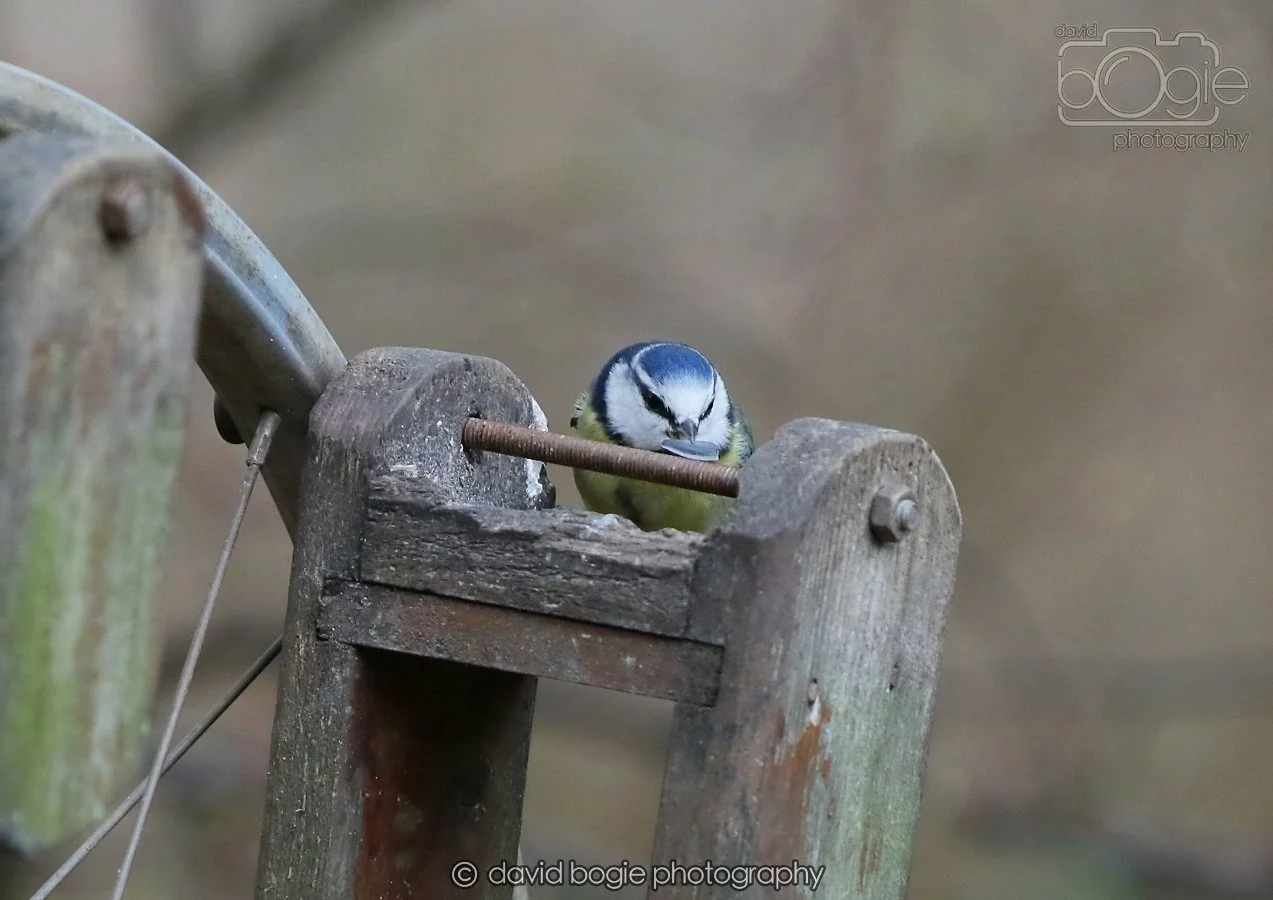 20260215 125740 Silverburn 0009.jpg