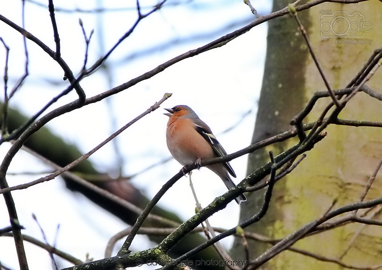 20260306 091338 Dunnikier 0065.jpg