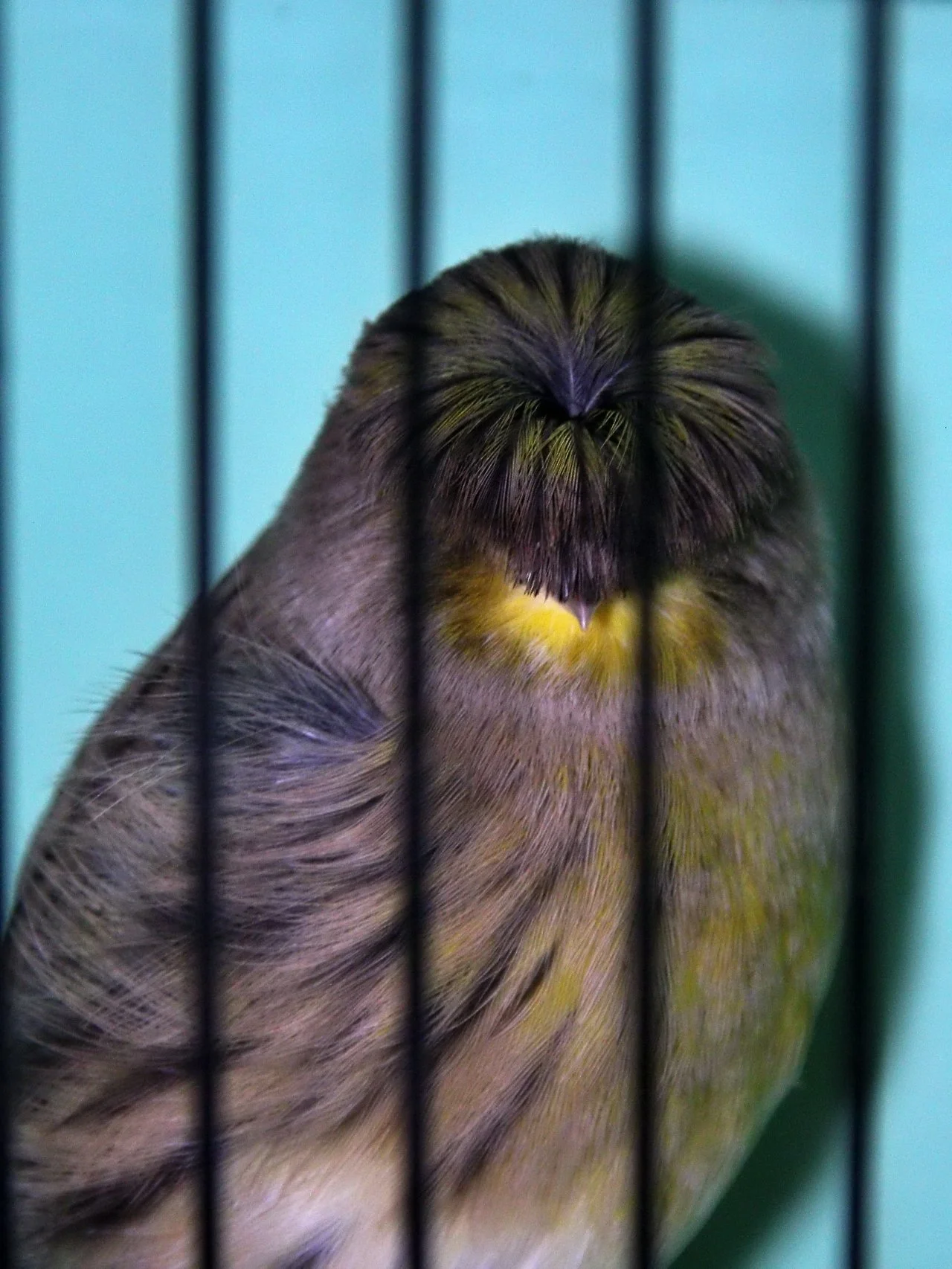 20241103 132634 MCBS Show 0577.JPG