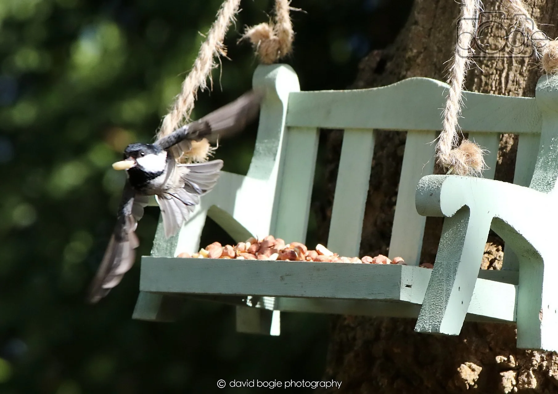 20260403 121849 Dunnikier 0134.jpg