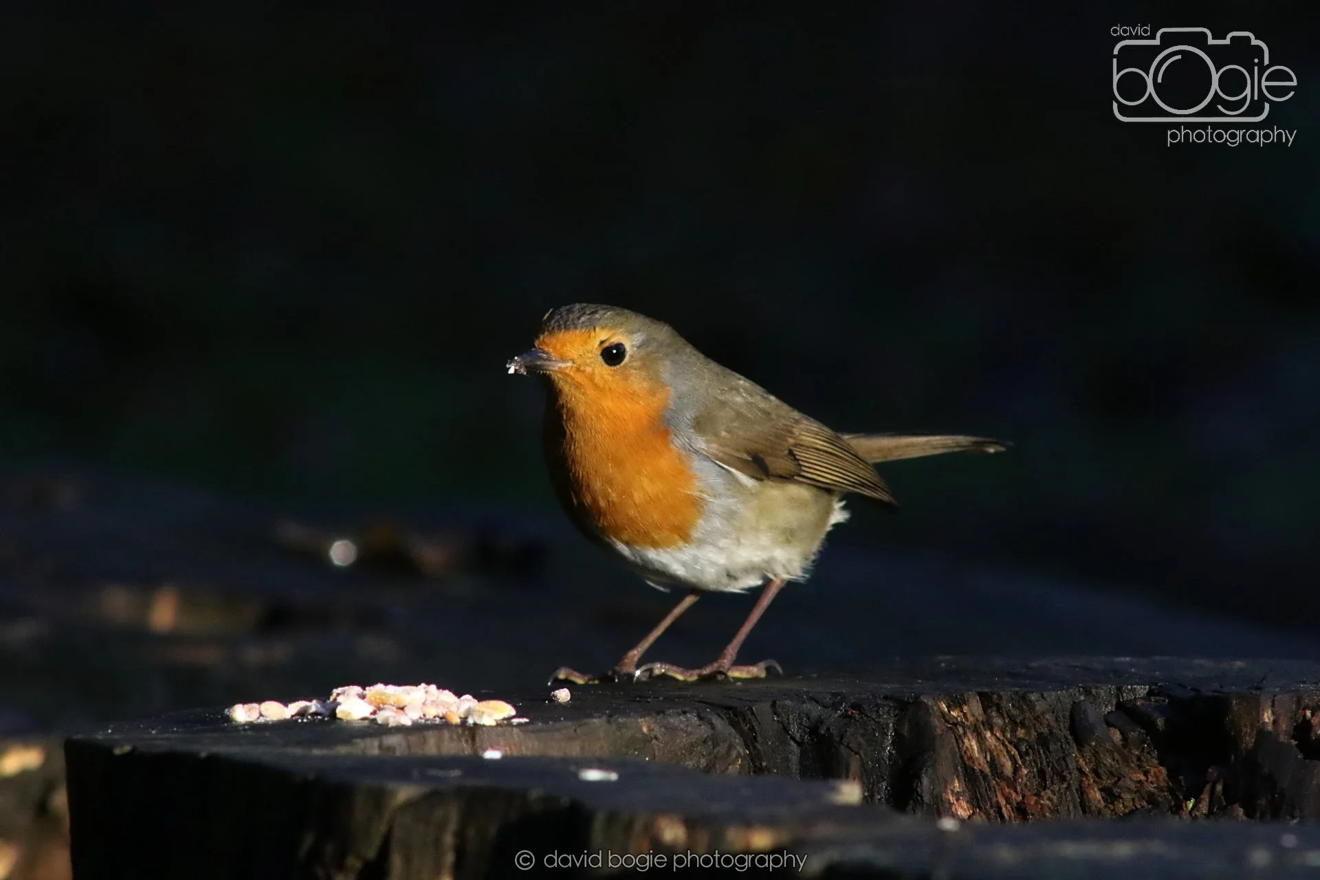 20251125 142711 Silverburn 0690.JPG