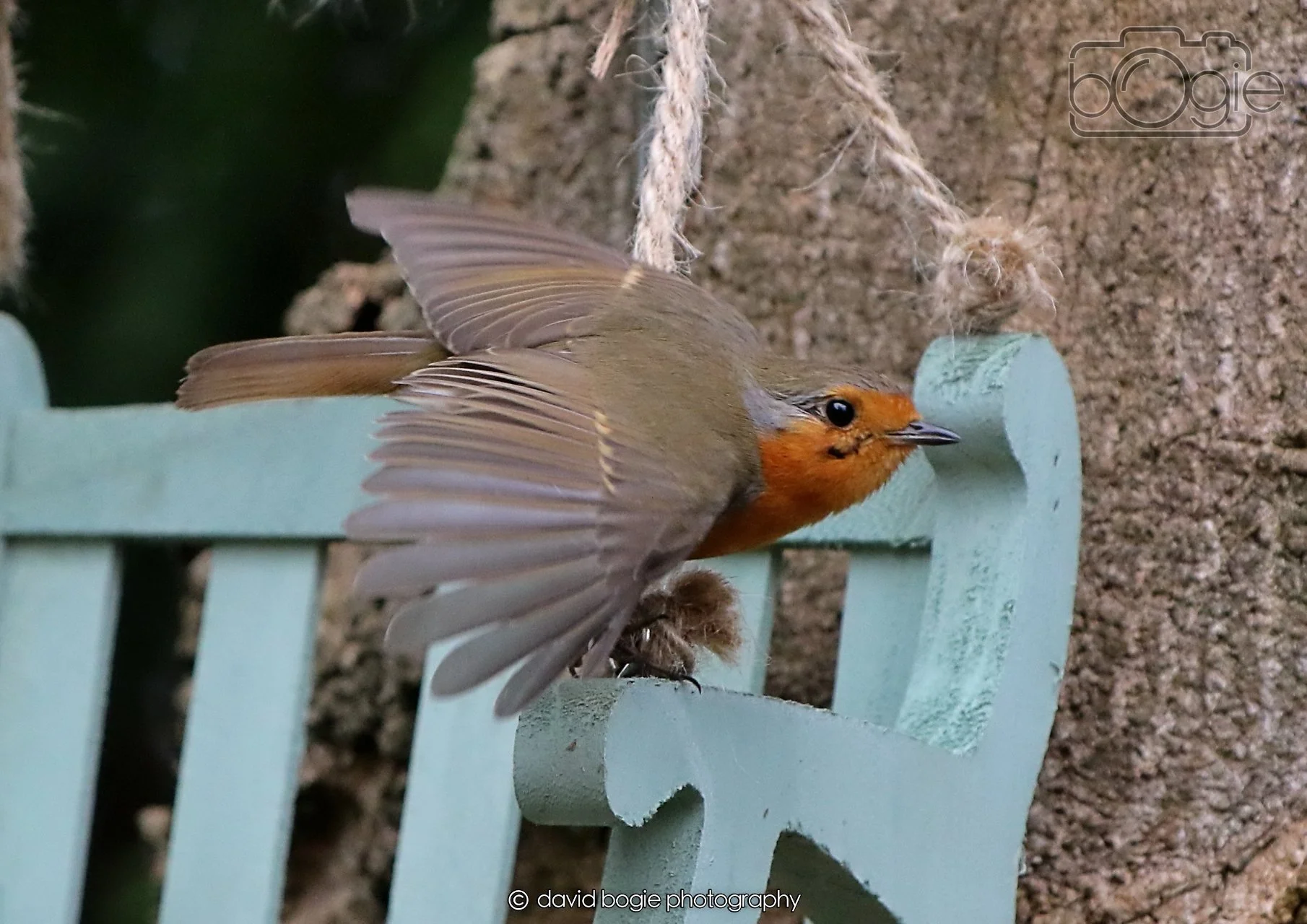 20260403 125419 Dunnikier 0253.jpg