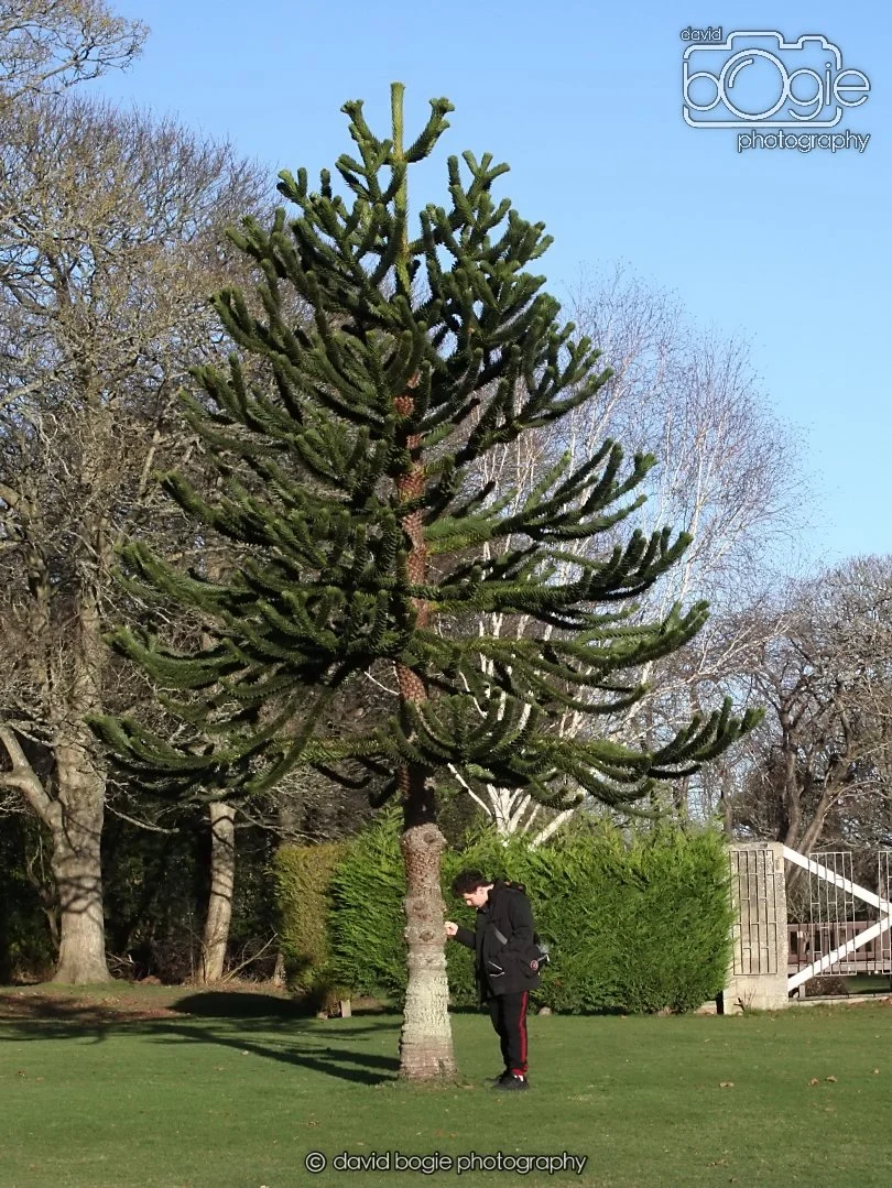 20260103 111650 Beveridge Park 0008.JPG