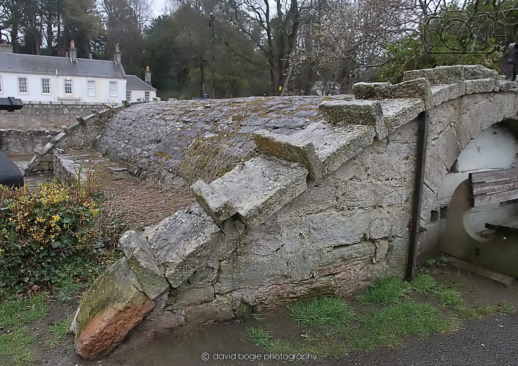 20260401 131822 Culross 0267.jpg