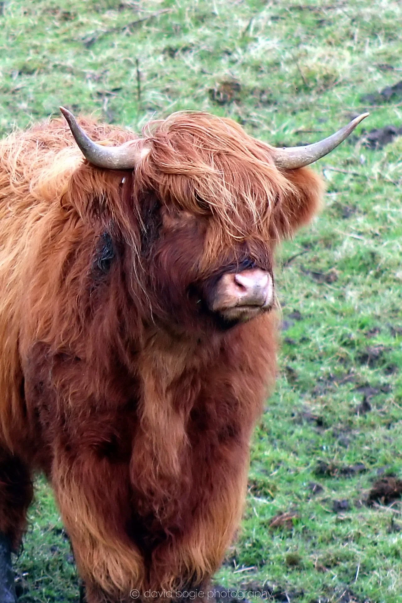 20200218 094344 Balbie Coos 0016.jpg