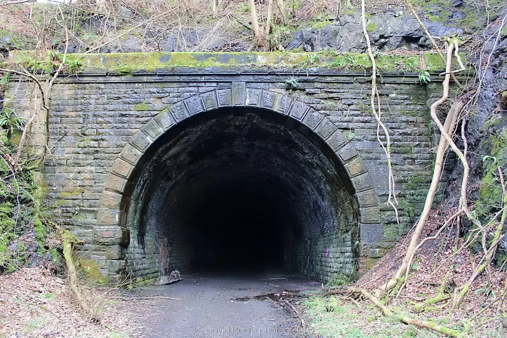 20190219 120049 Glenfarg 0018.jpg