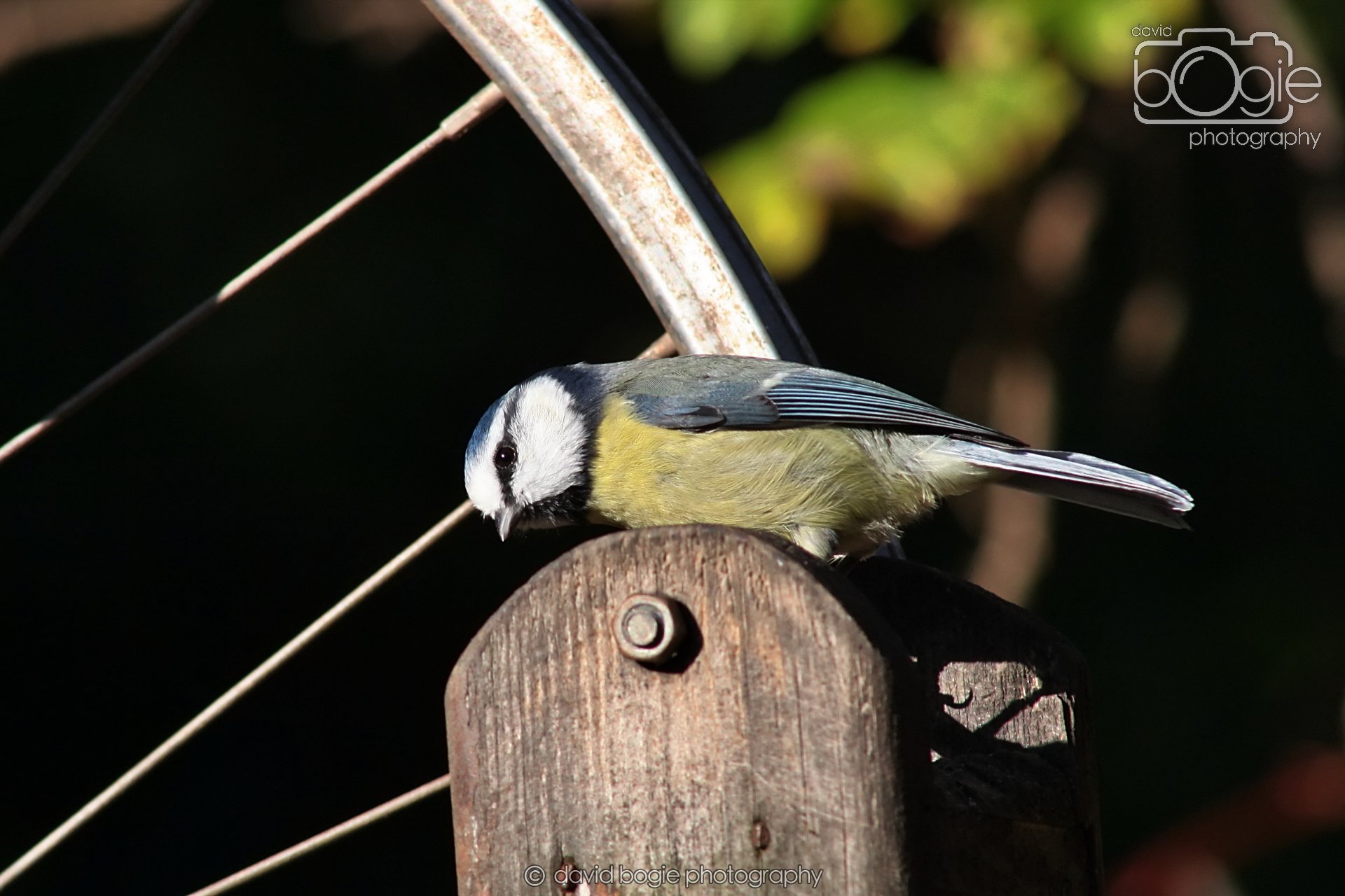 20251125 134254 Silverburn 0162.JPG