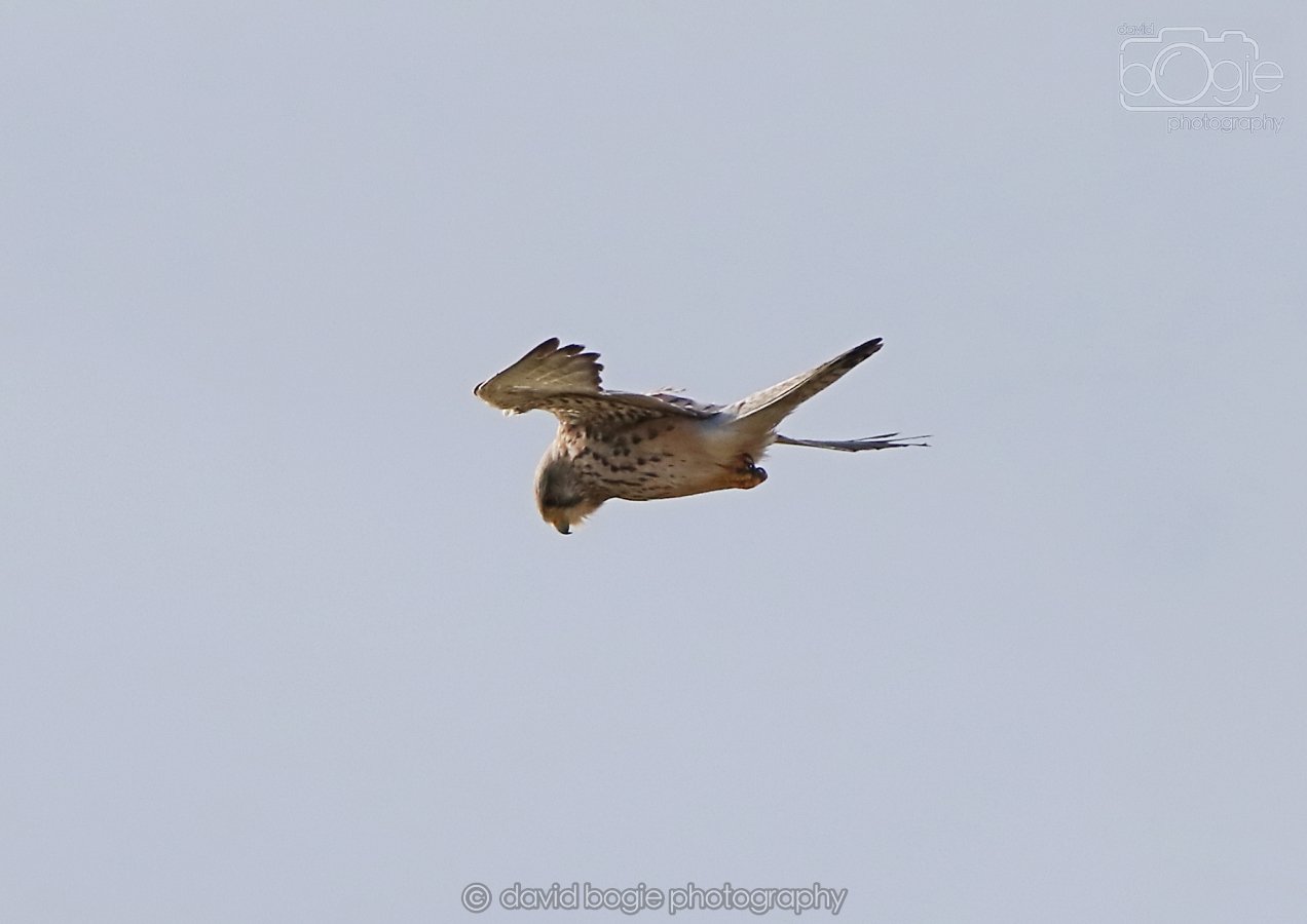 20260314 162108 Elie 0104.jpg