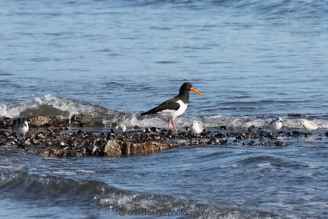 20260307 110951 Kirkcaldy 0020.jpg