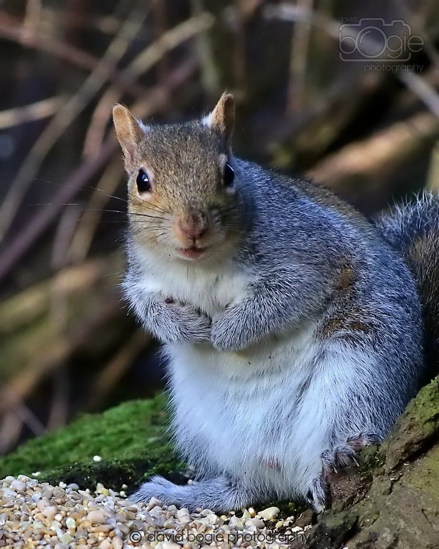 20260128 142628 Dunnikier 0372.jpg