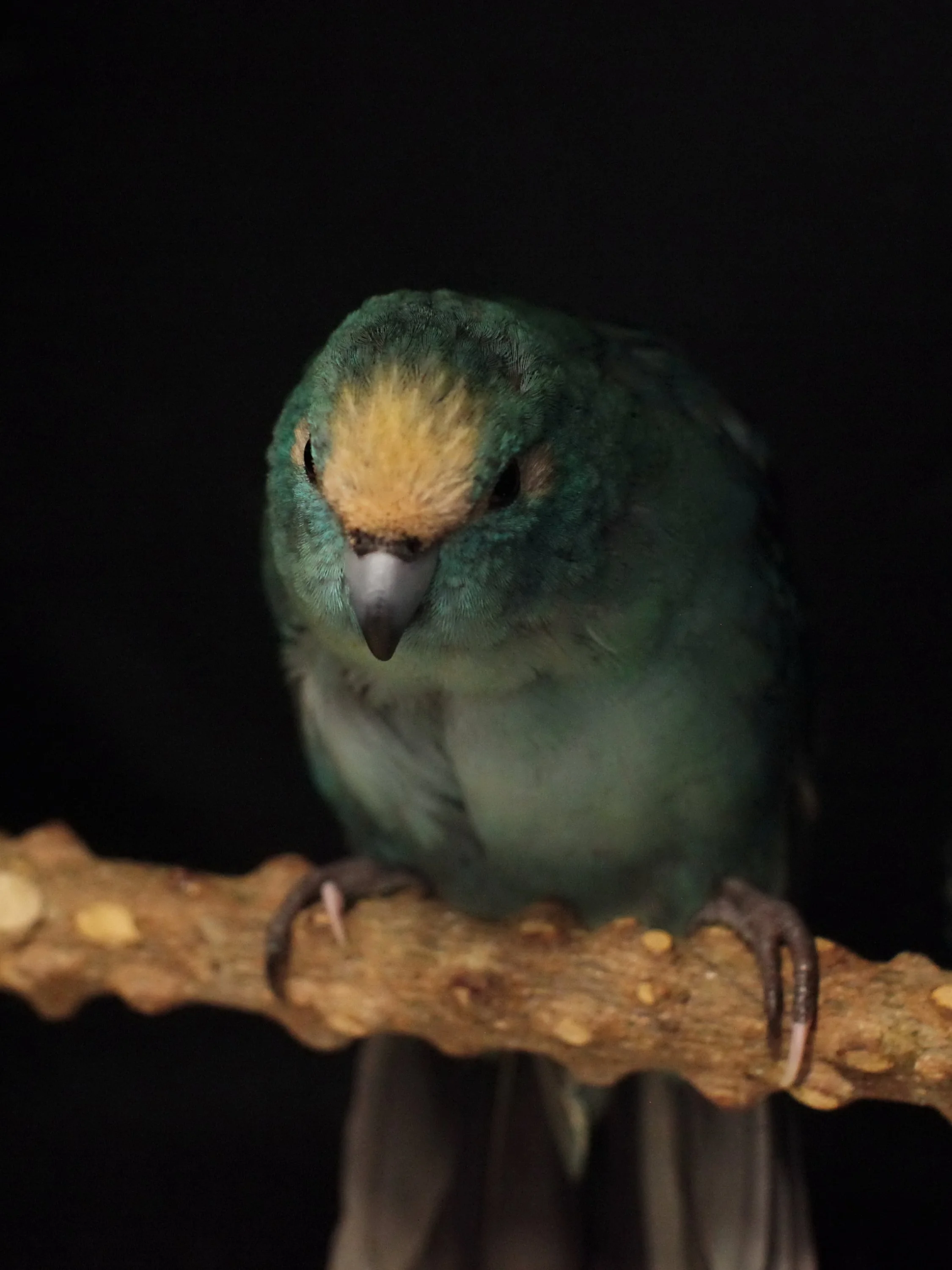 20251206 122142 K&S 0002.JPG