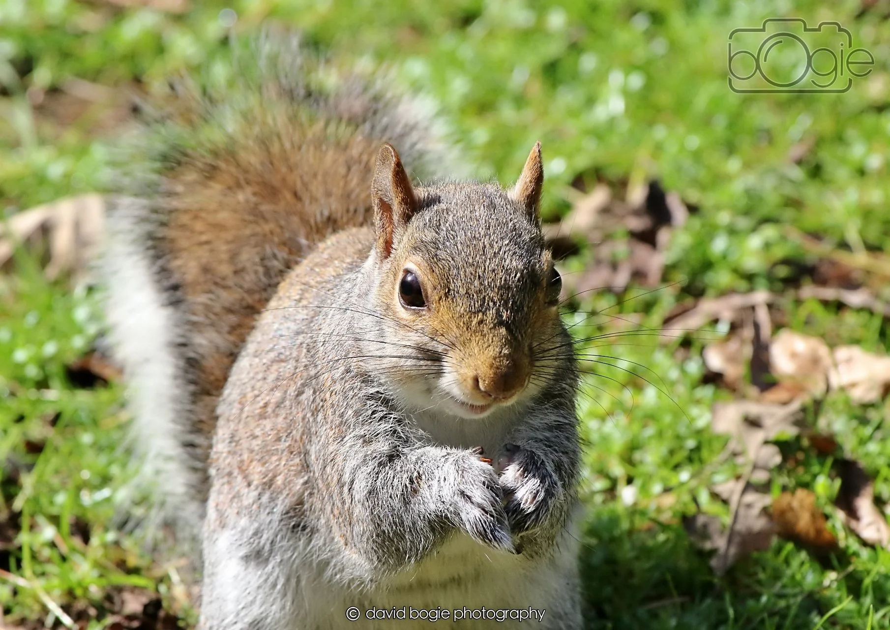 20260402 123622 Ravenscraig 0444.jpg