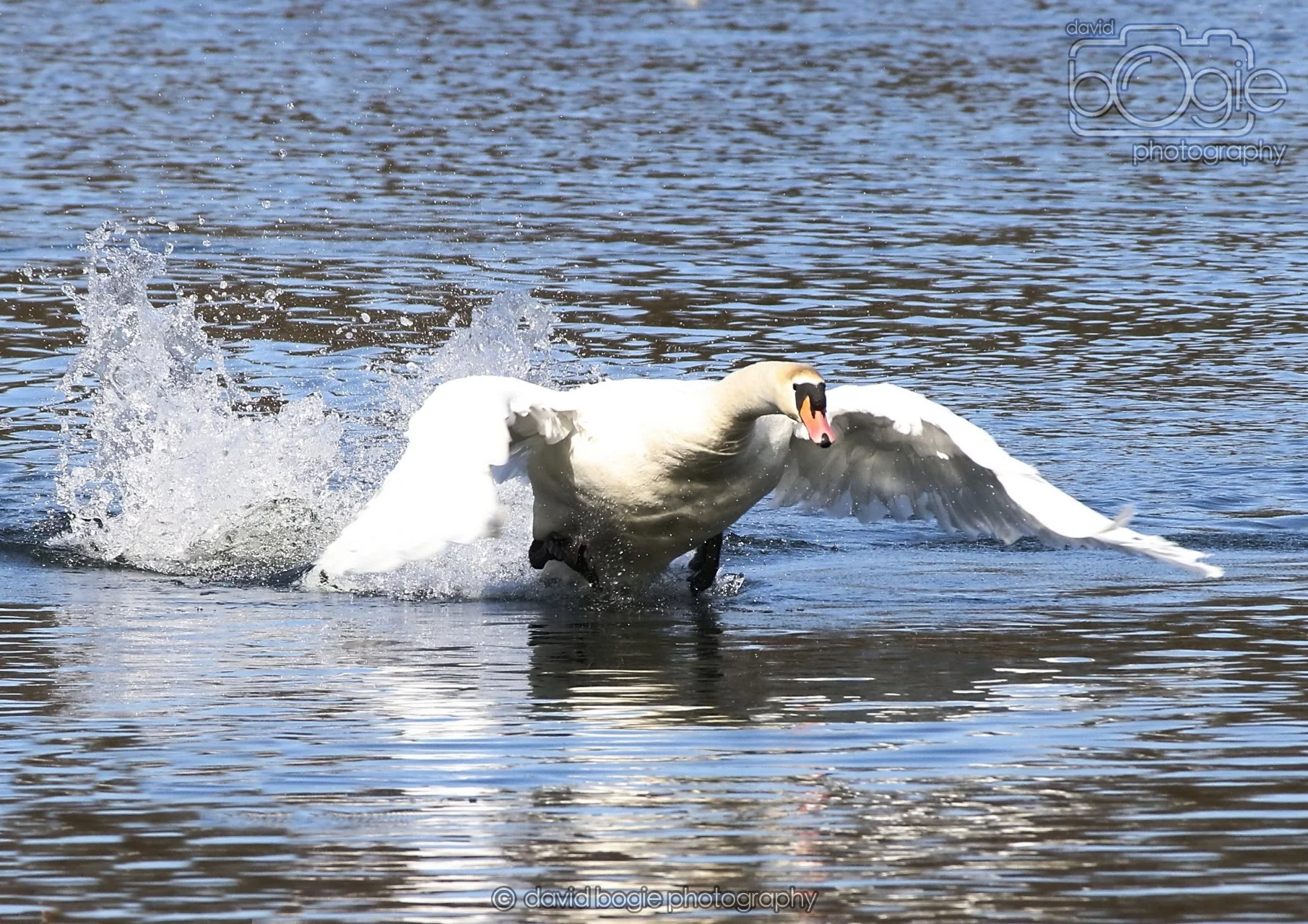 20260319 113007 Beveridge Park 0050.jpg