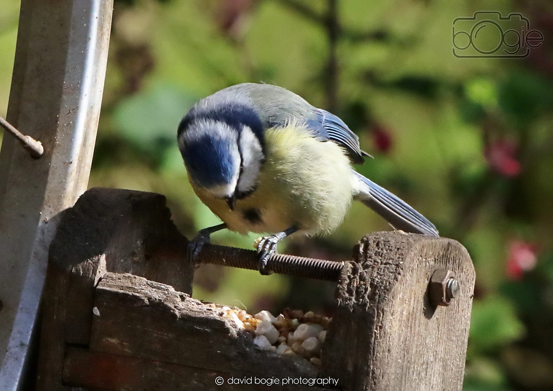 20260402 100516 Silverburn 0075.jpg