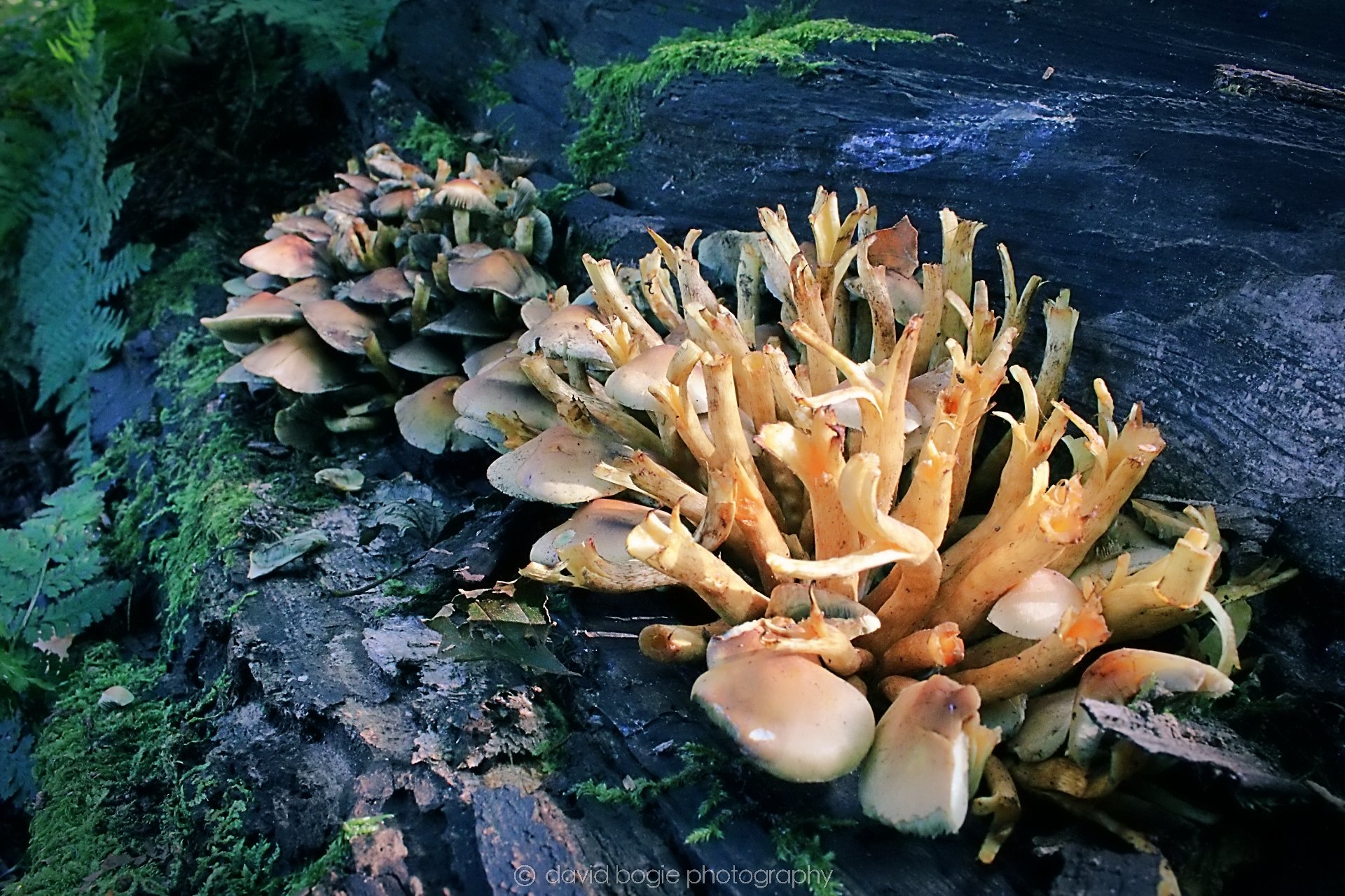 20190913 104818 Dunnikier 0001.jpg