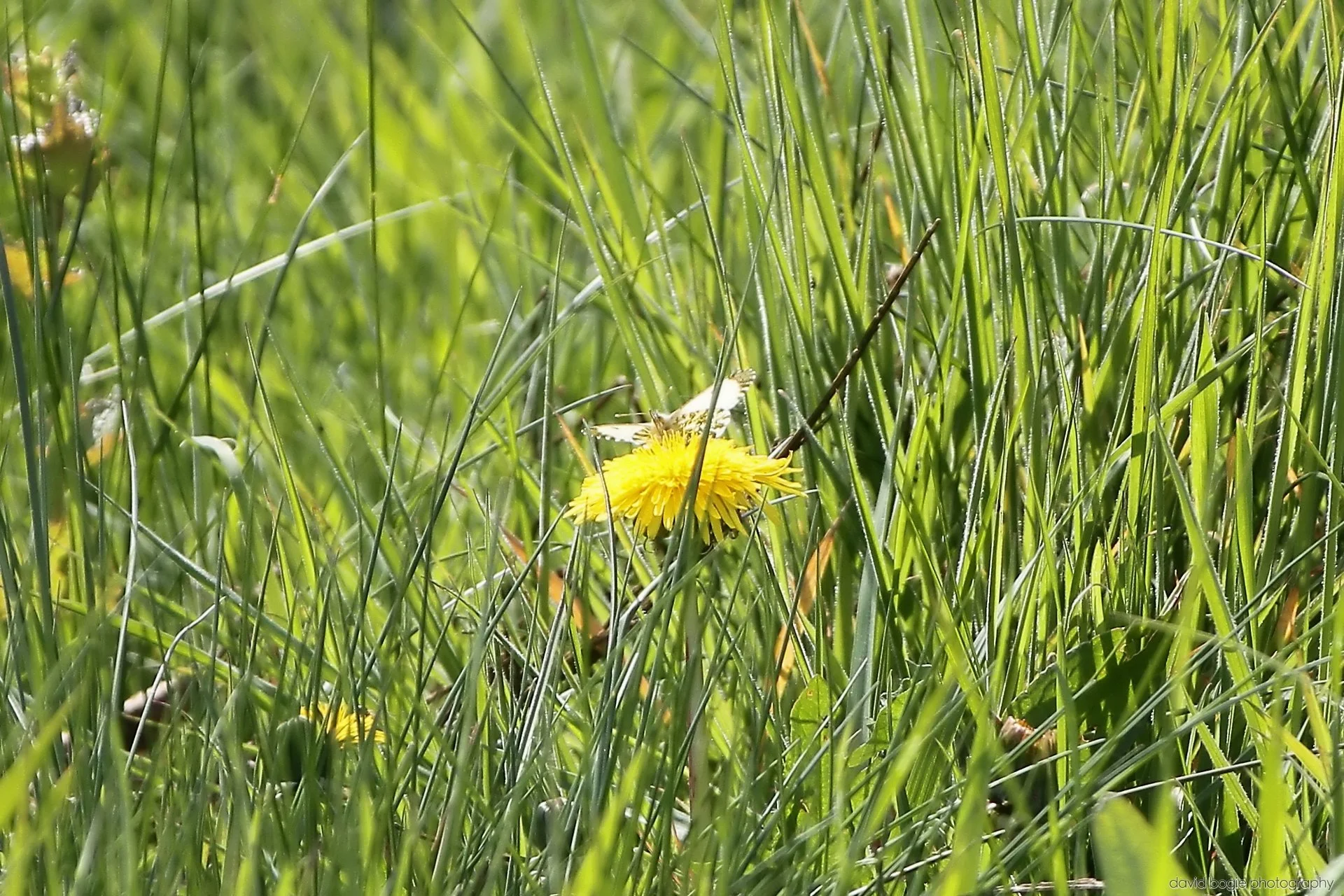 20260426 125419 Bus Bundle 0135.jpg