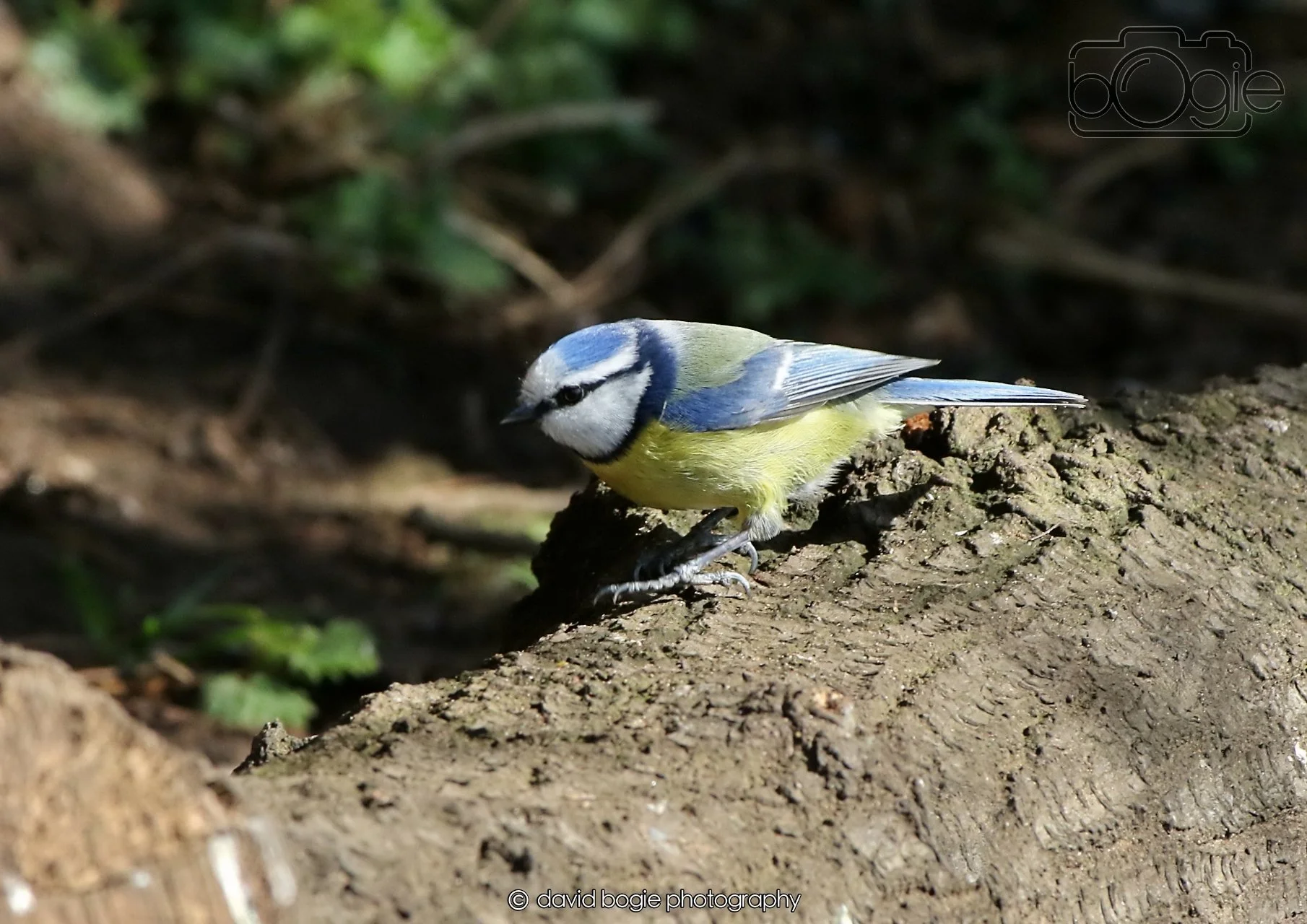 20260402 101221 Silverburn 0119.jpg