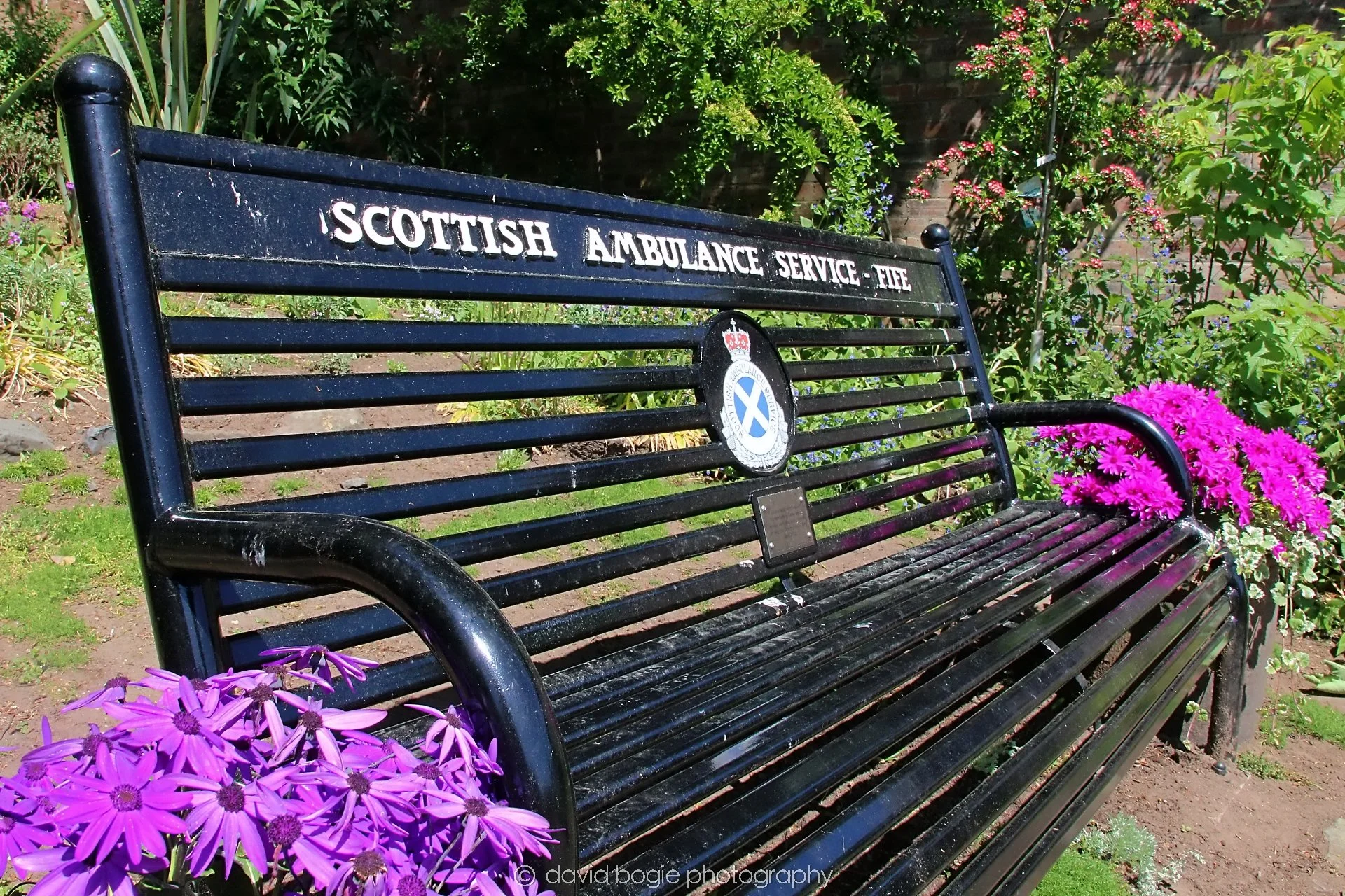 YEAR20230602 Silverburn 131500 00001.jpg