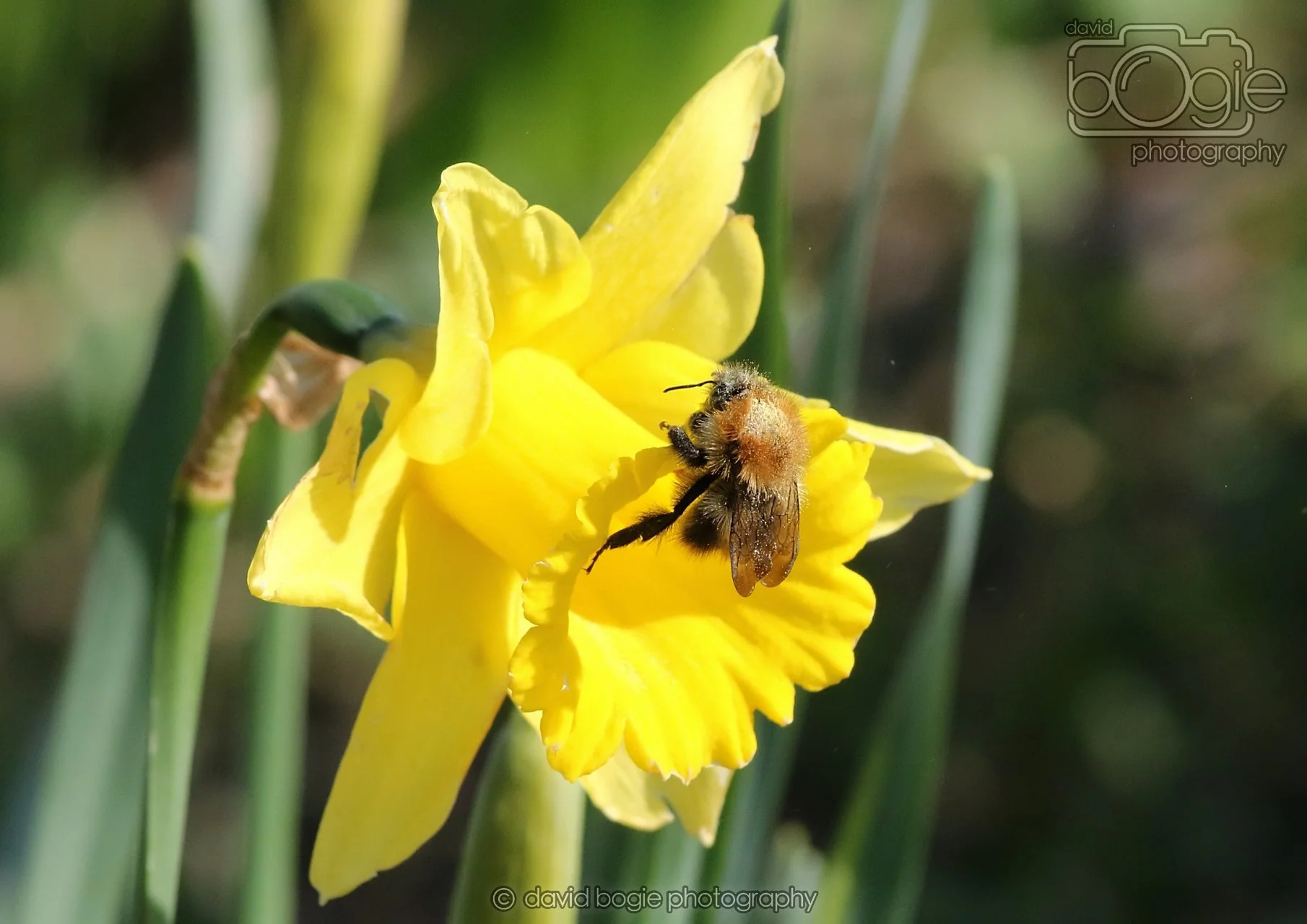 20260319 115444 Beveridge Park 0211.jpg