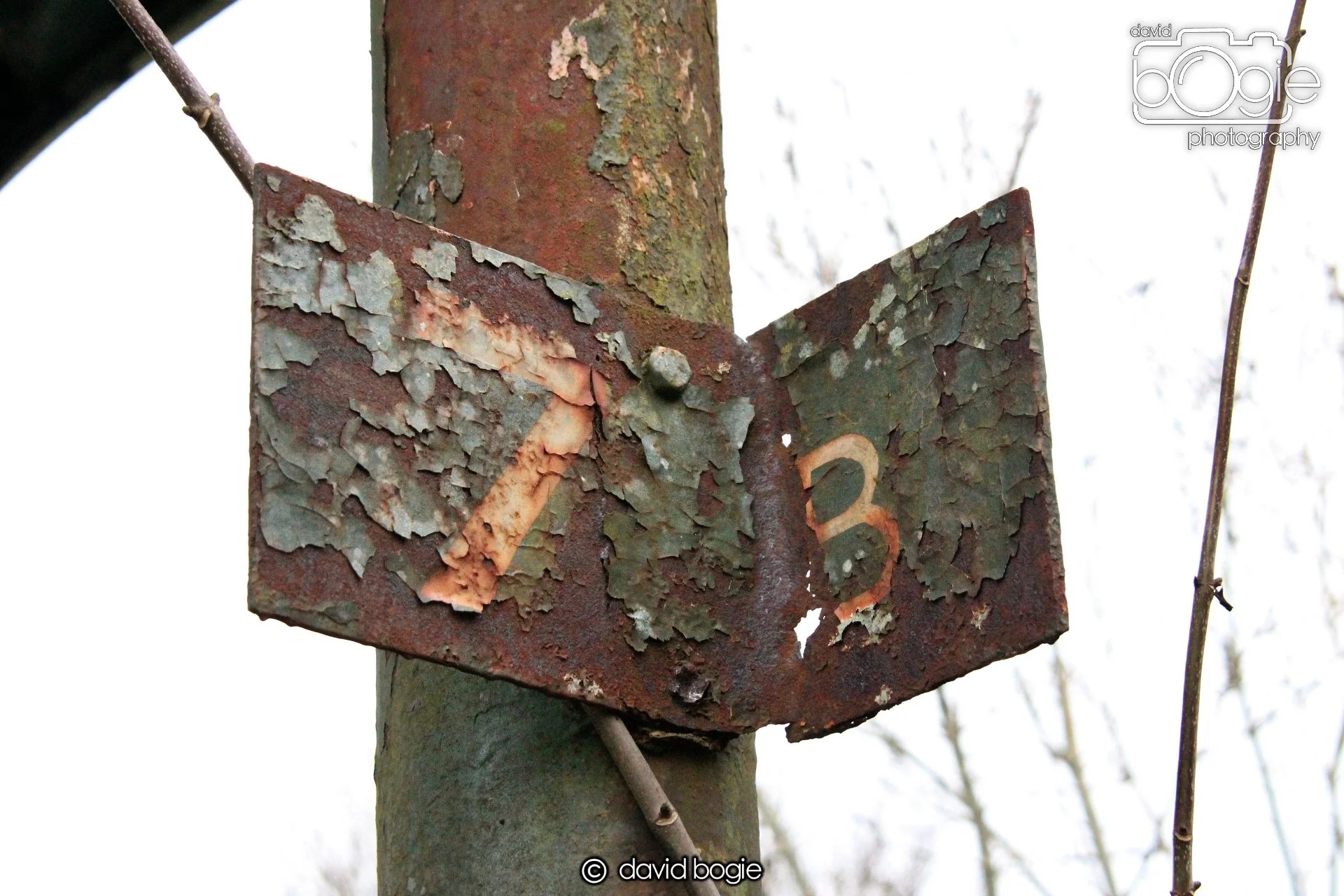 20220108 Dunfermline 00012.JPG