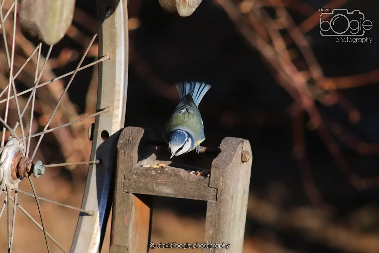 20251231 133834 Silverburn 0146.JPG